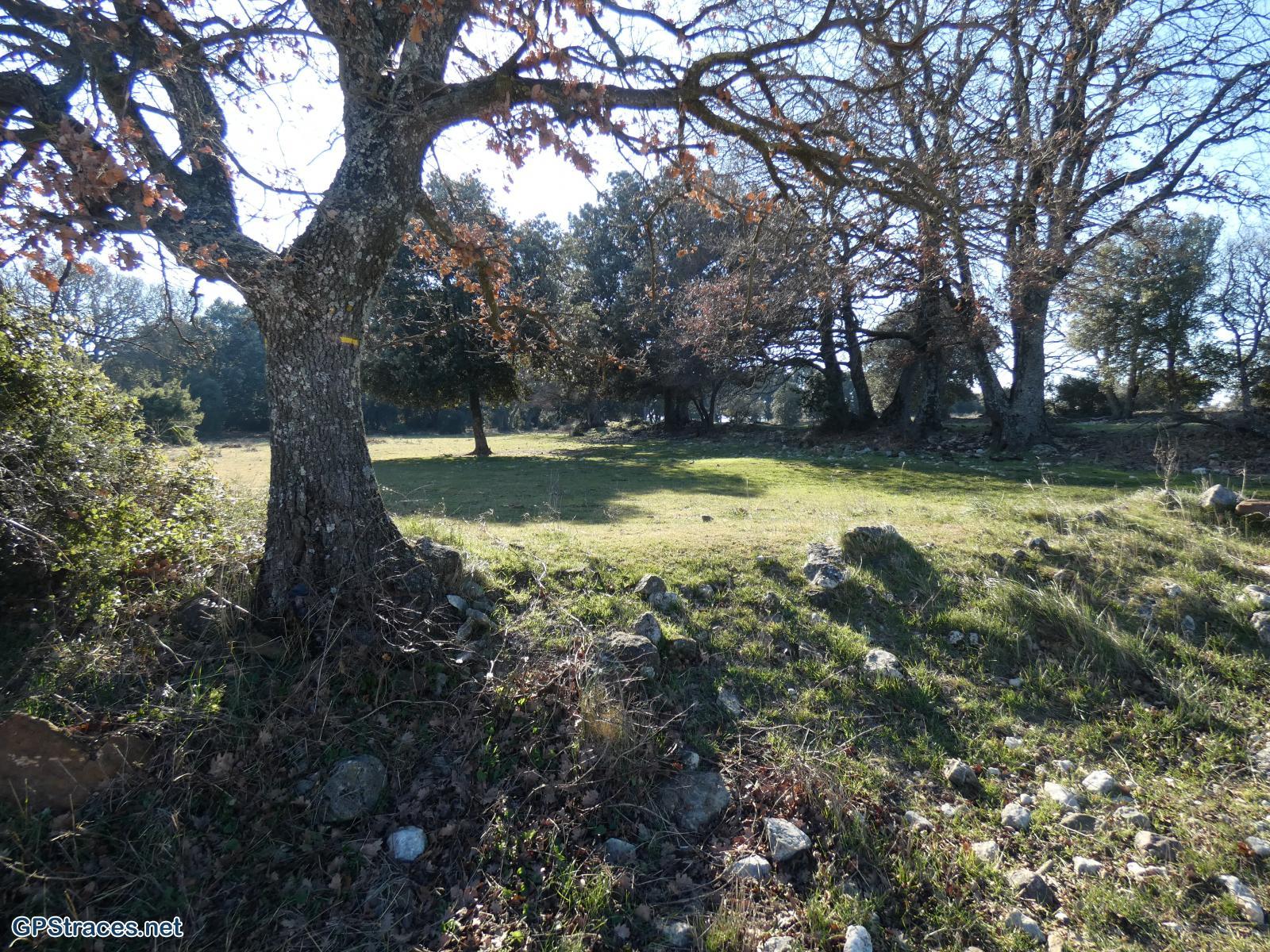 Gard-Le Pin - Chapelle Saint-Jean - Pierre Percée–1