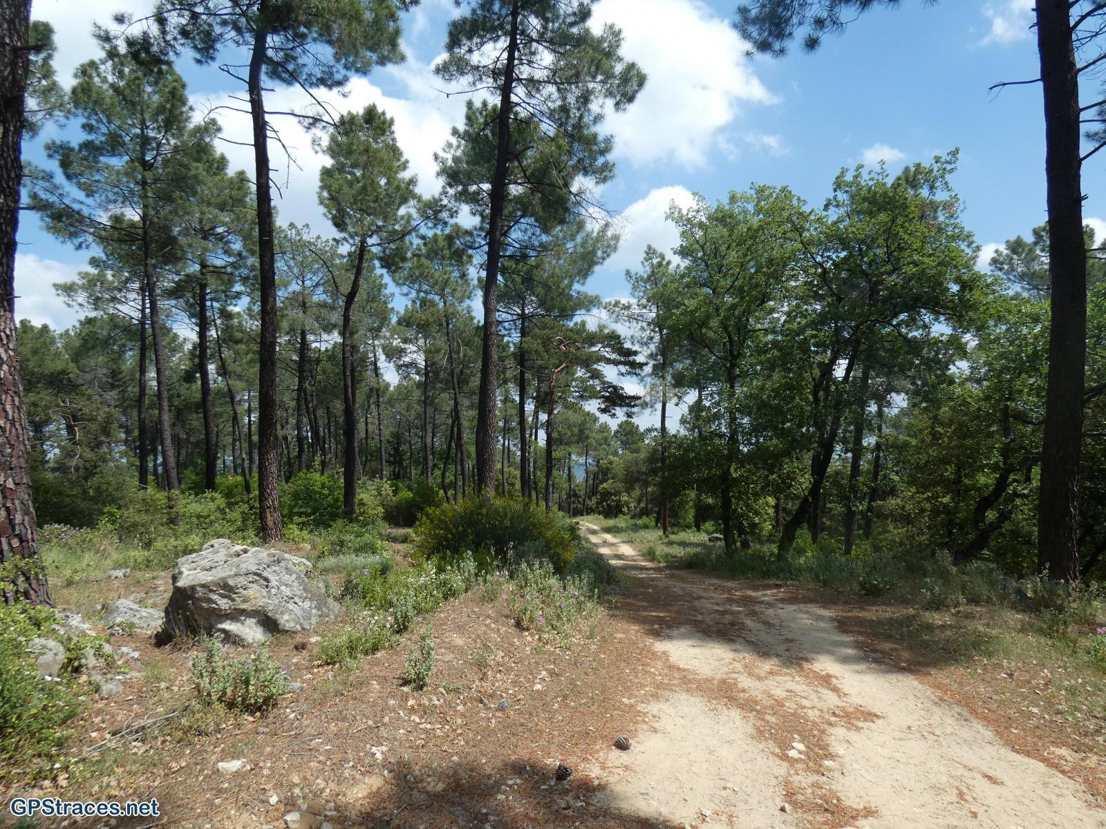 Gard-De Sabran à la Cèze–1
