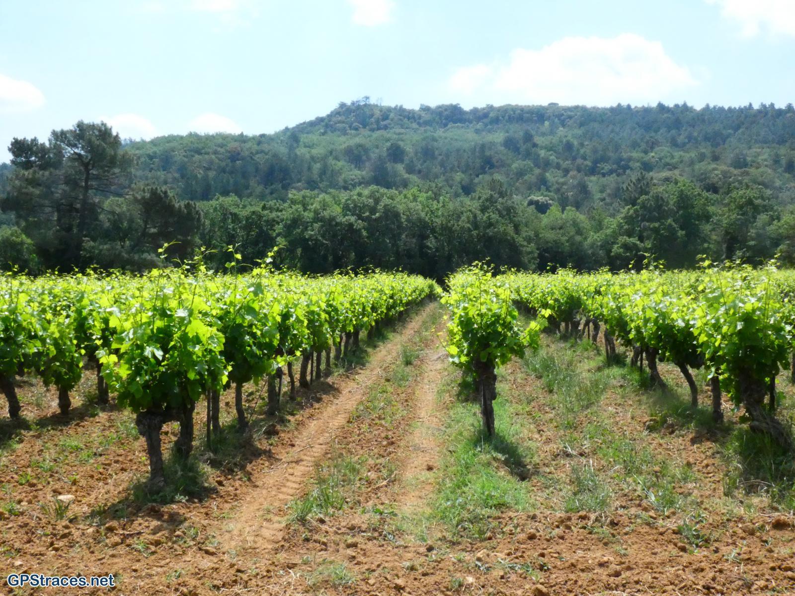 Gard-De Sabran à la Cèze–2
