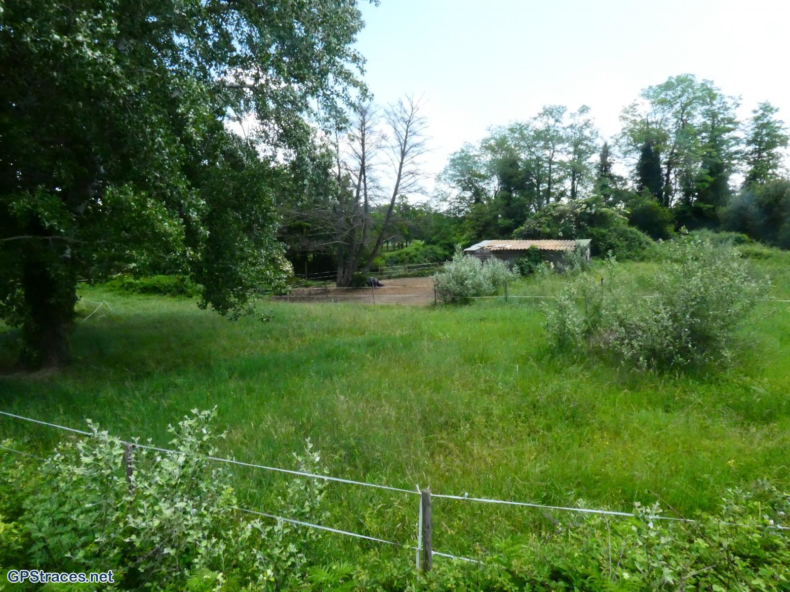 Gard-De Sabran à la Cèze–4