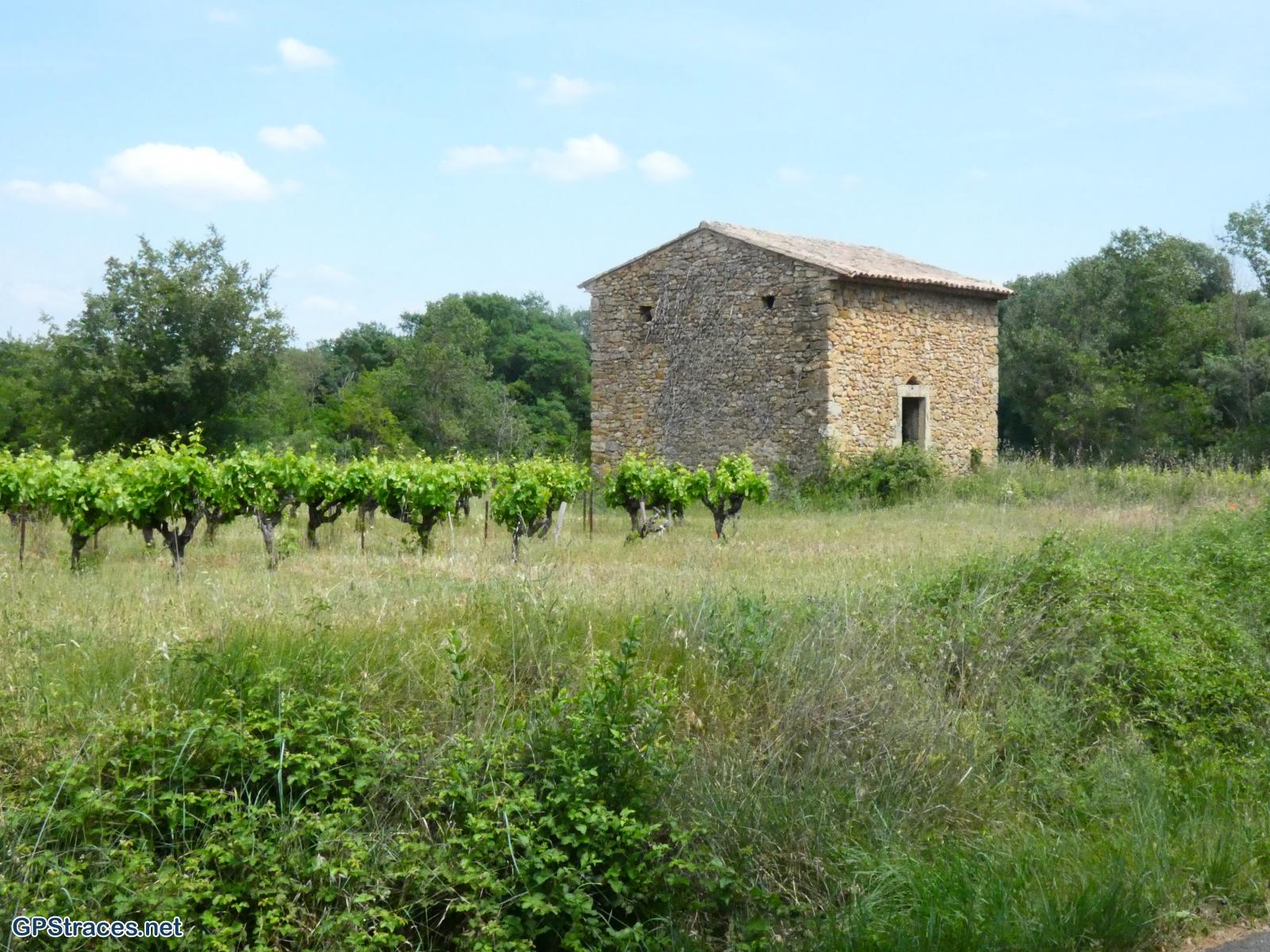 Gard-De Sabran à la Cèze–7