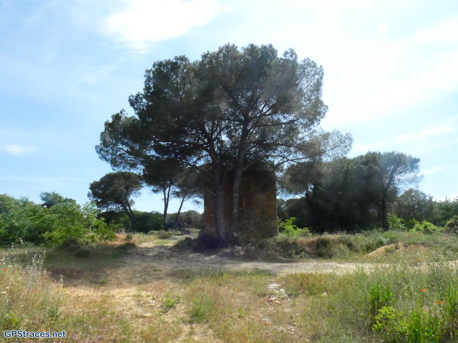 Gard-De Sabran à la Cèze–9