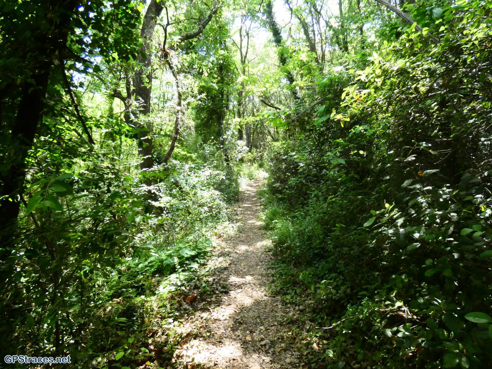 Gard-De Sabran à la Cèze–10