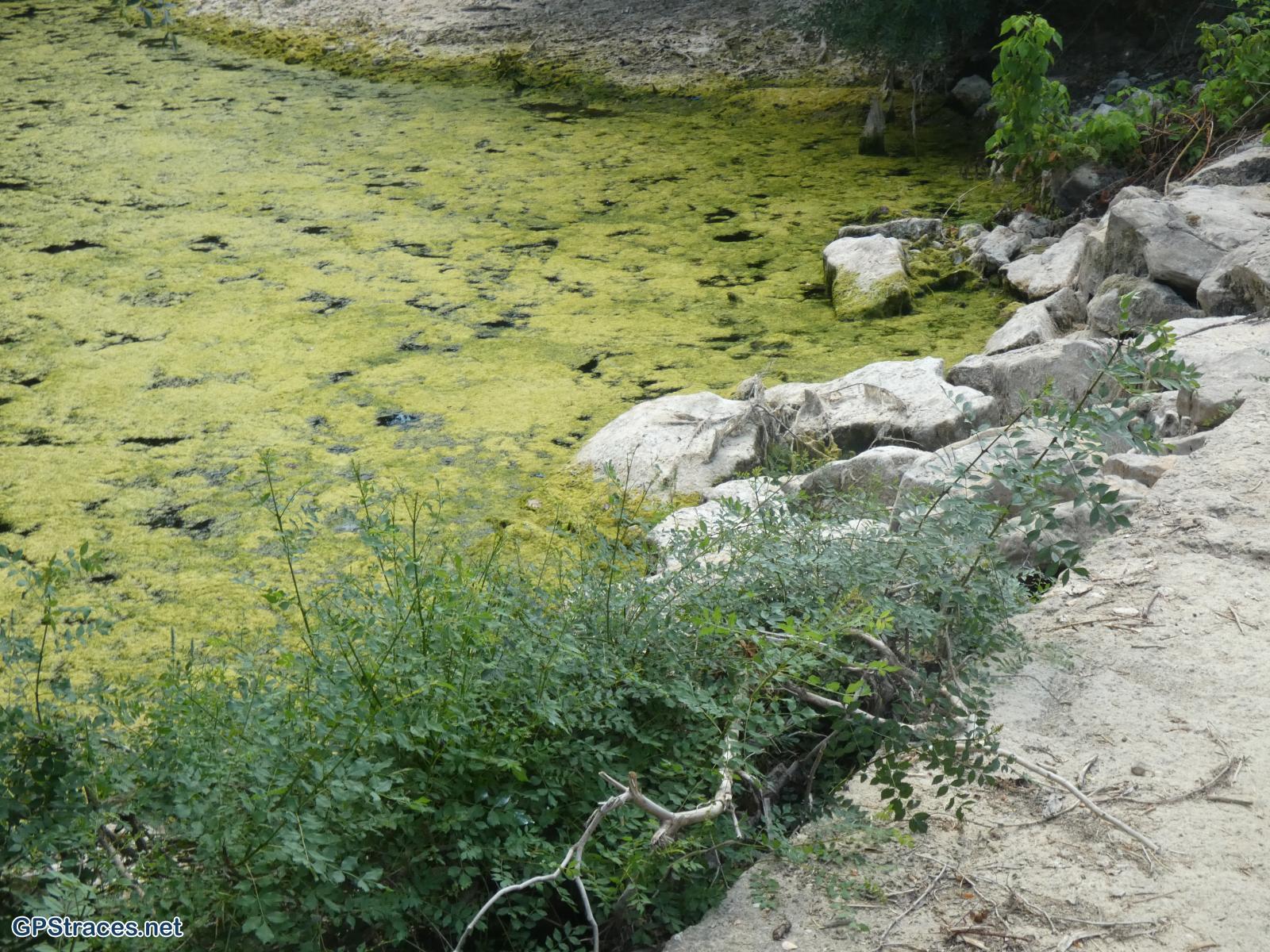 Le ruisseau de la Candouillère