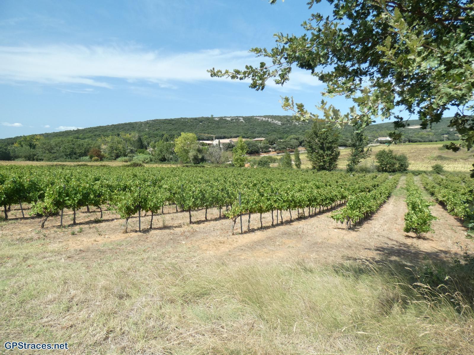 Gard-Saint-Jean-De-Ceyrargues - Arque de Baron - Le Lac–6