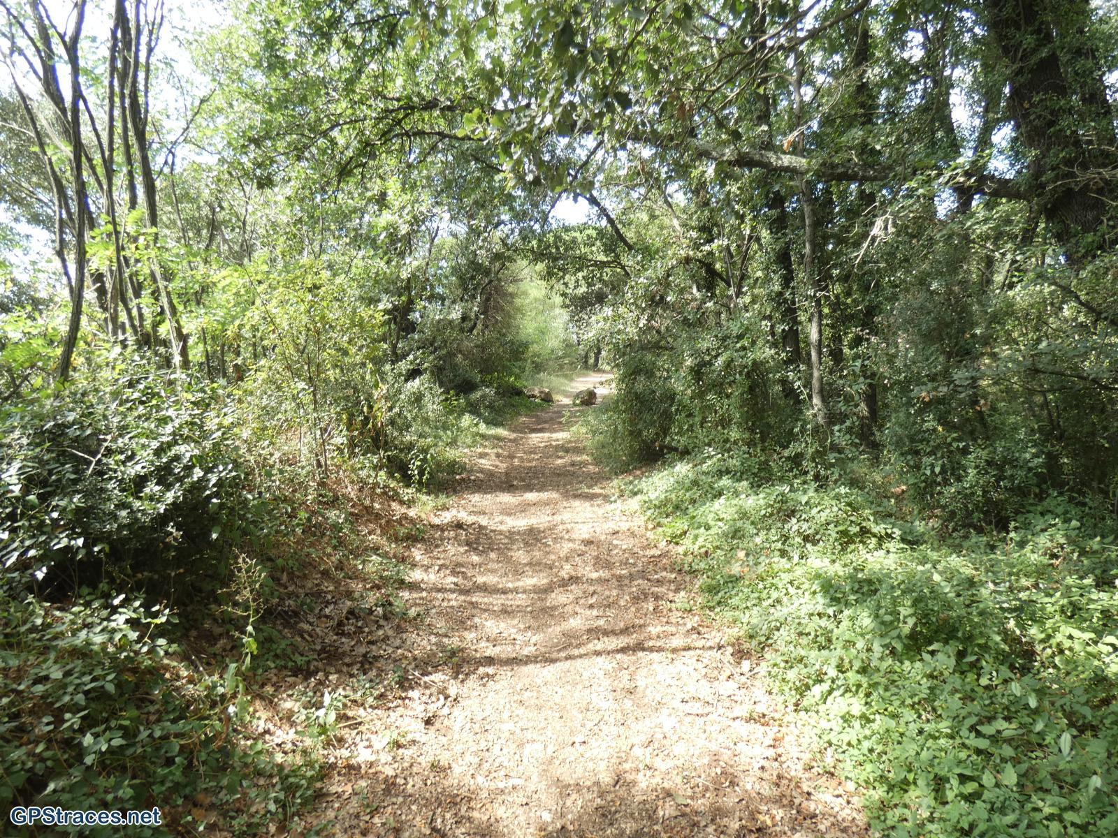 Gard-Saint-Jean-De-Ceyrargues - Arque de Baron - Le Lac–17