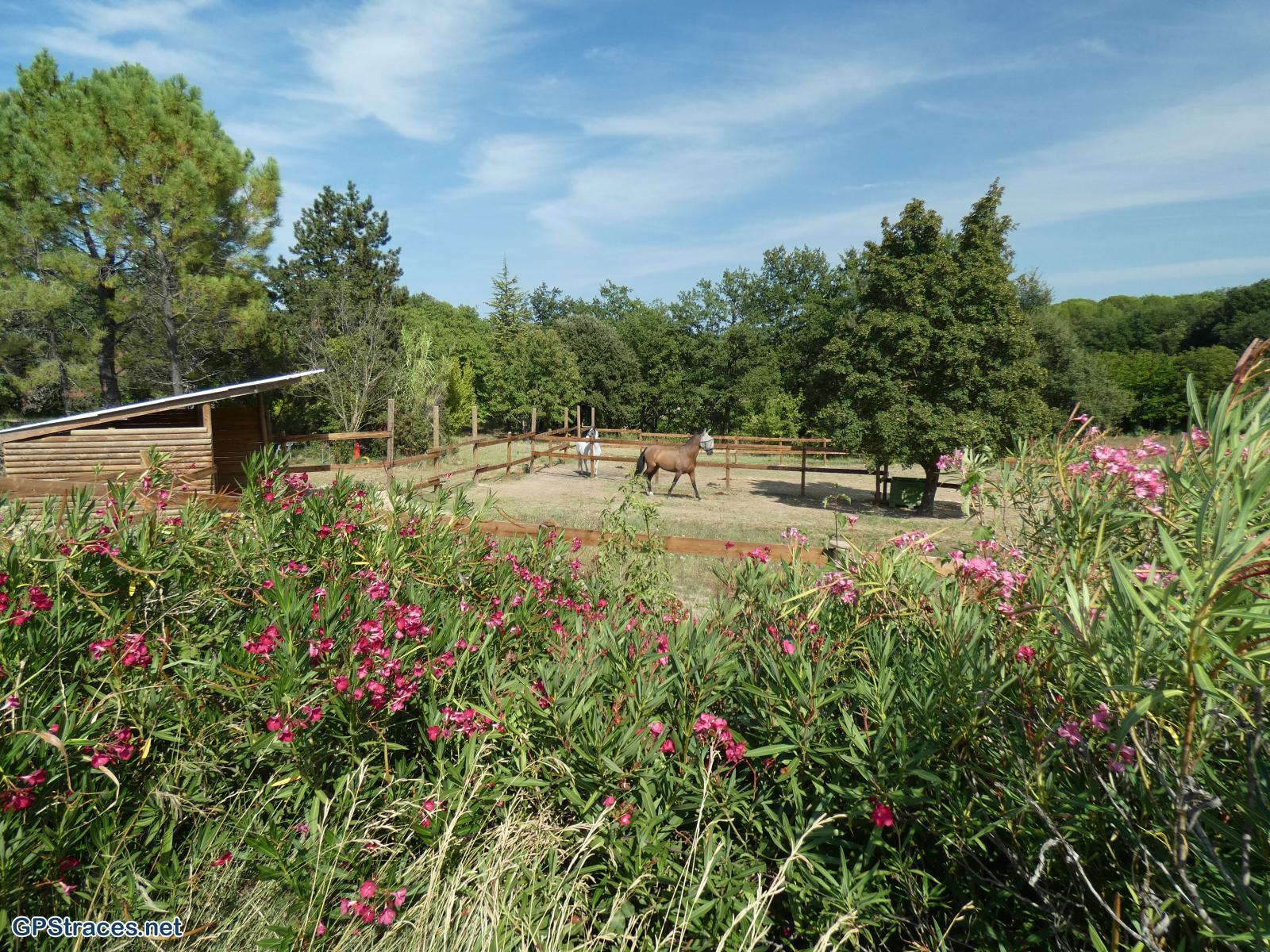 Gard-Saint-Jean-De-Ceyrargues - Arque de Baron - Le Lac–22