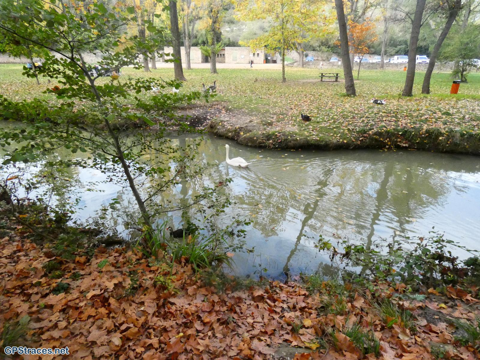 Les rives de l'Auzon