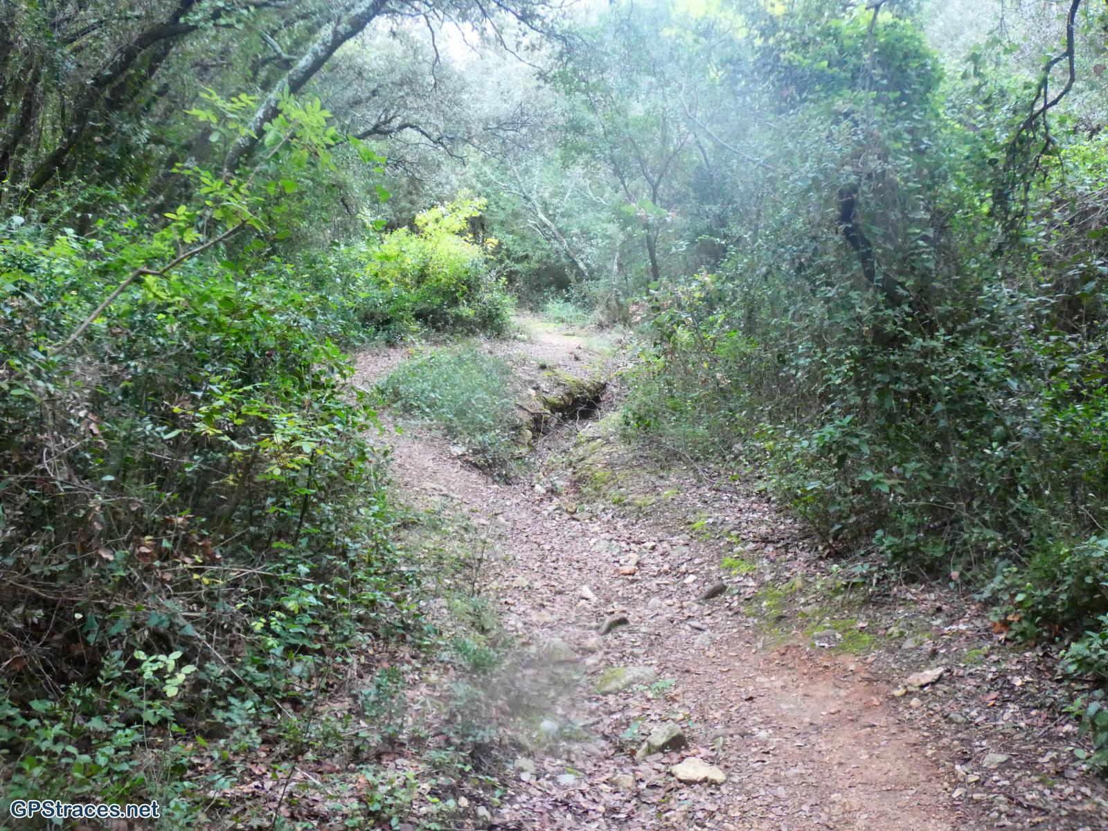 La combe de l'Evescat