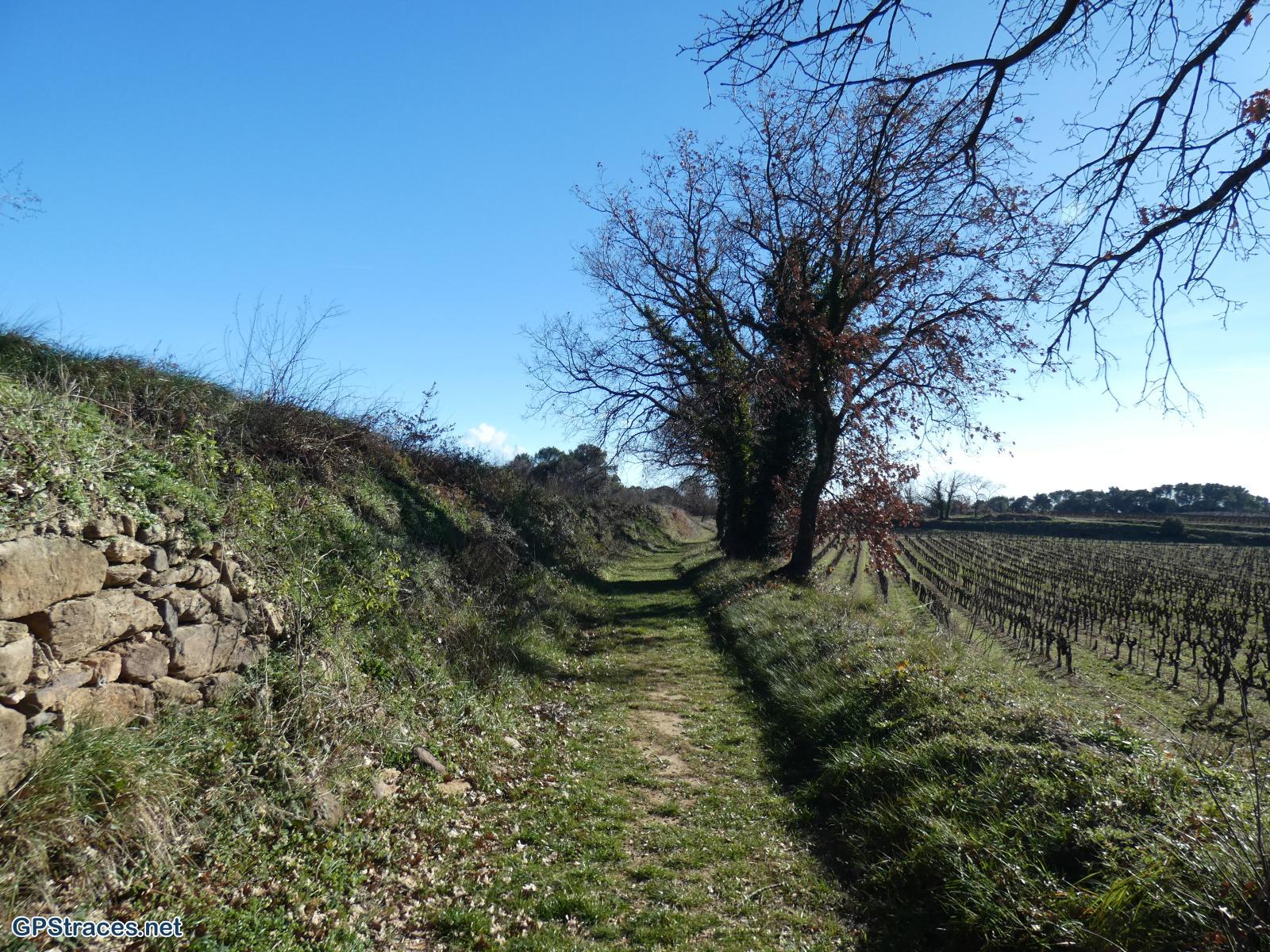 Gard-Saint-Michel d'Euzet - La chartreuse de Valbonne–1