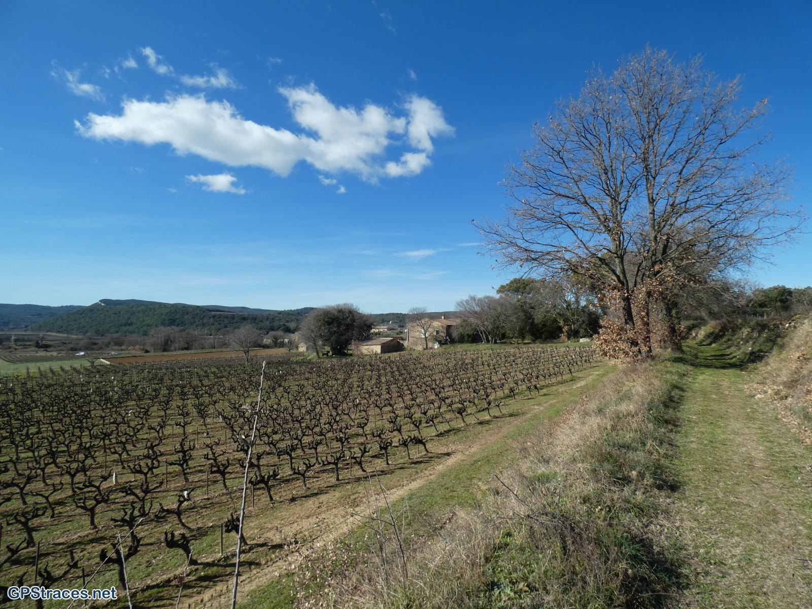 Gard-Saint-Michel d'Euzet - La chartreuse de Valbonne–2
