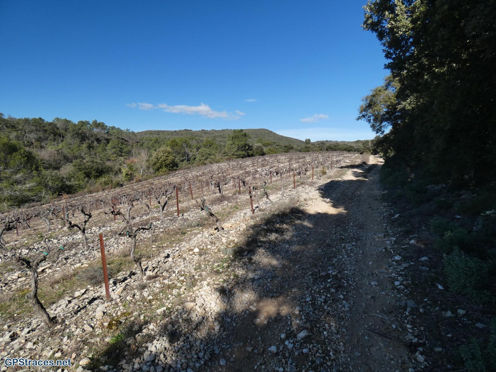 Gard-Saint-Michel d'Euzet - La chartreuse de Valbonne–4