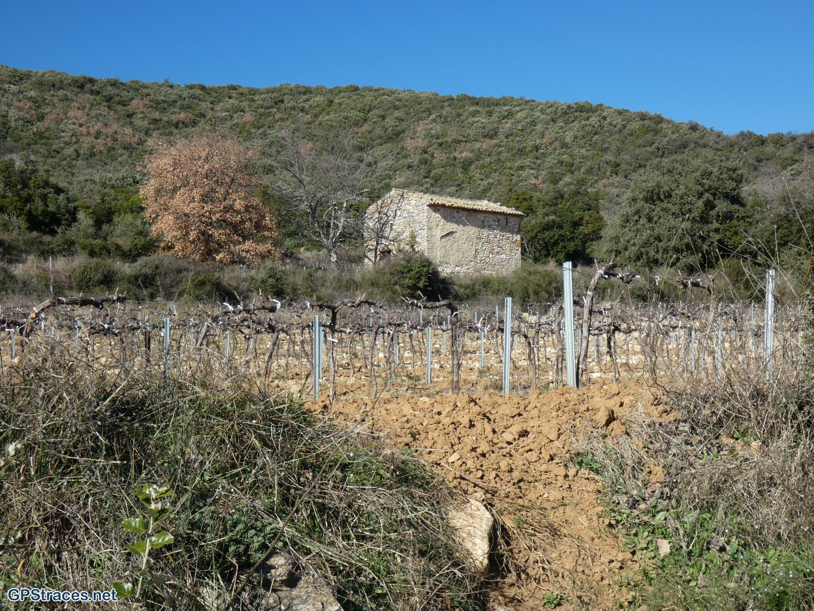 Gard-Saint-Michel d'Euzet - La chartreuse de Valbonne–5