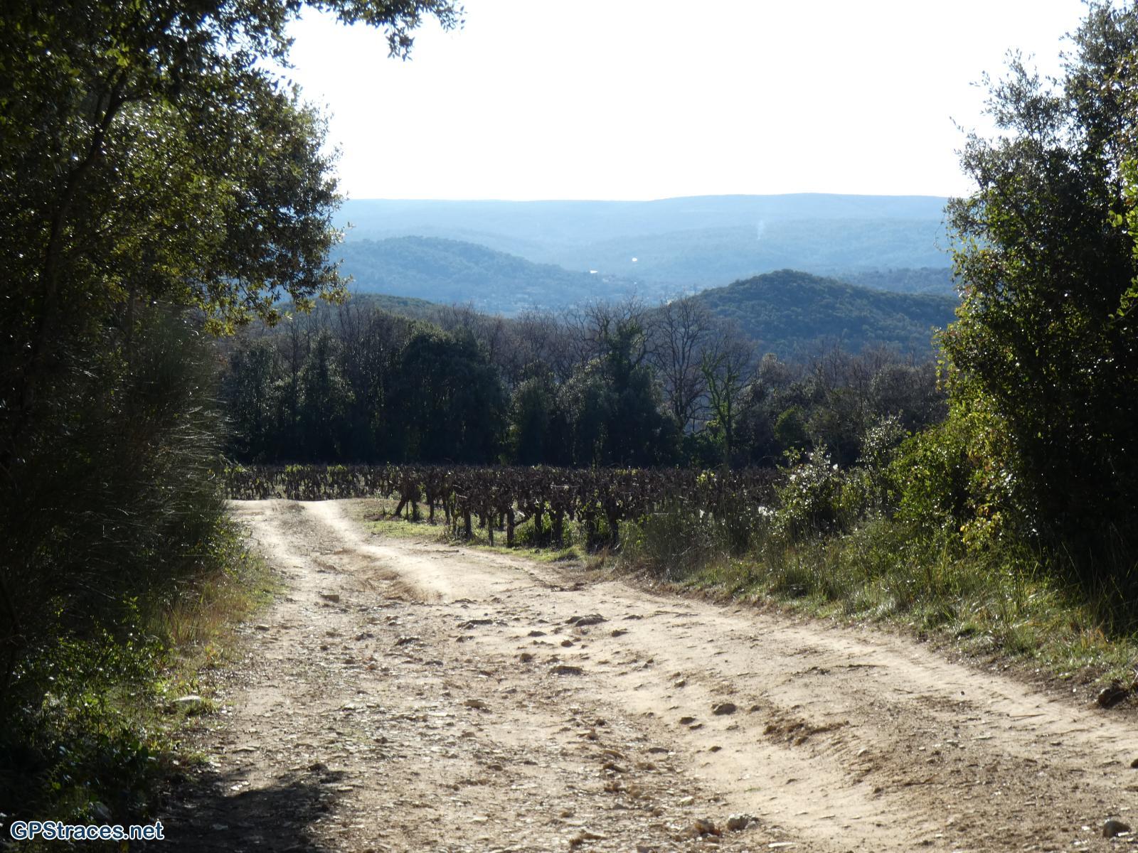 Gard-Saint-Michel d'Euzet - La chartreuse de Valbonne–17