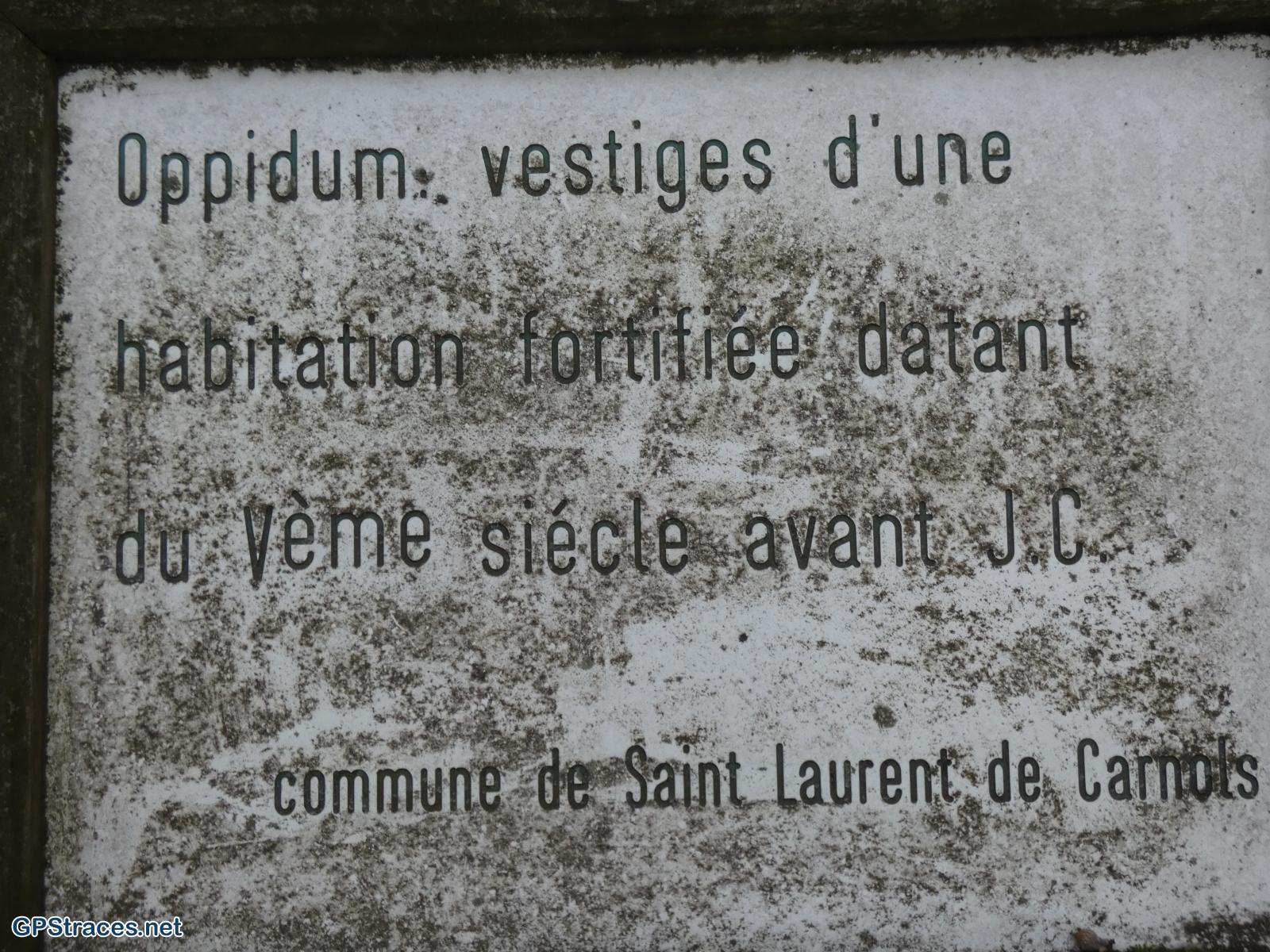 Gard-Saint-Michel d'Euzet - La chartreuse de Valbonne–19