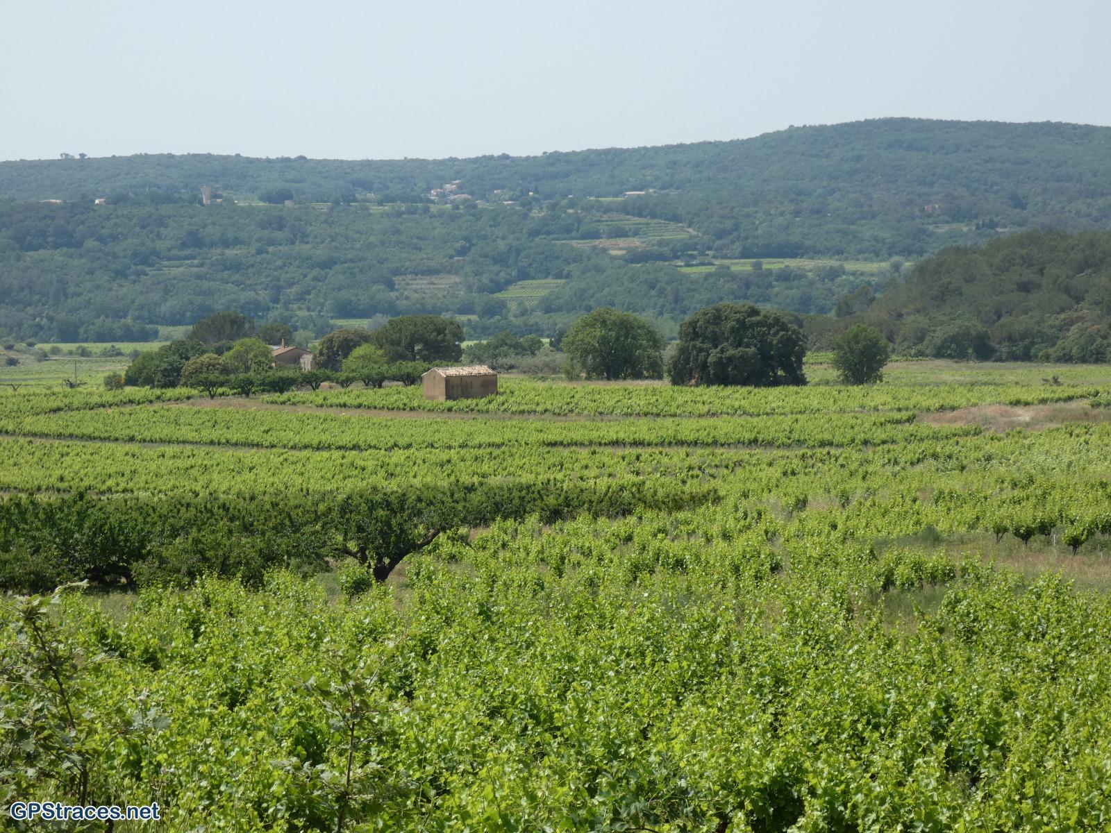 Gard-Saint-Pons-La-Calm - Mégiers–3