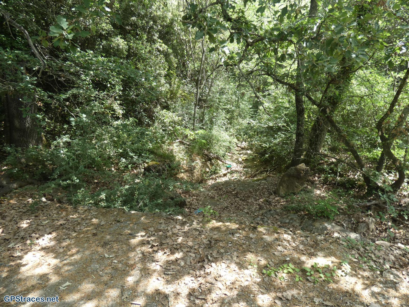 Gard-Saint-Pons-La-Calm - Mégiers–4