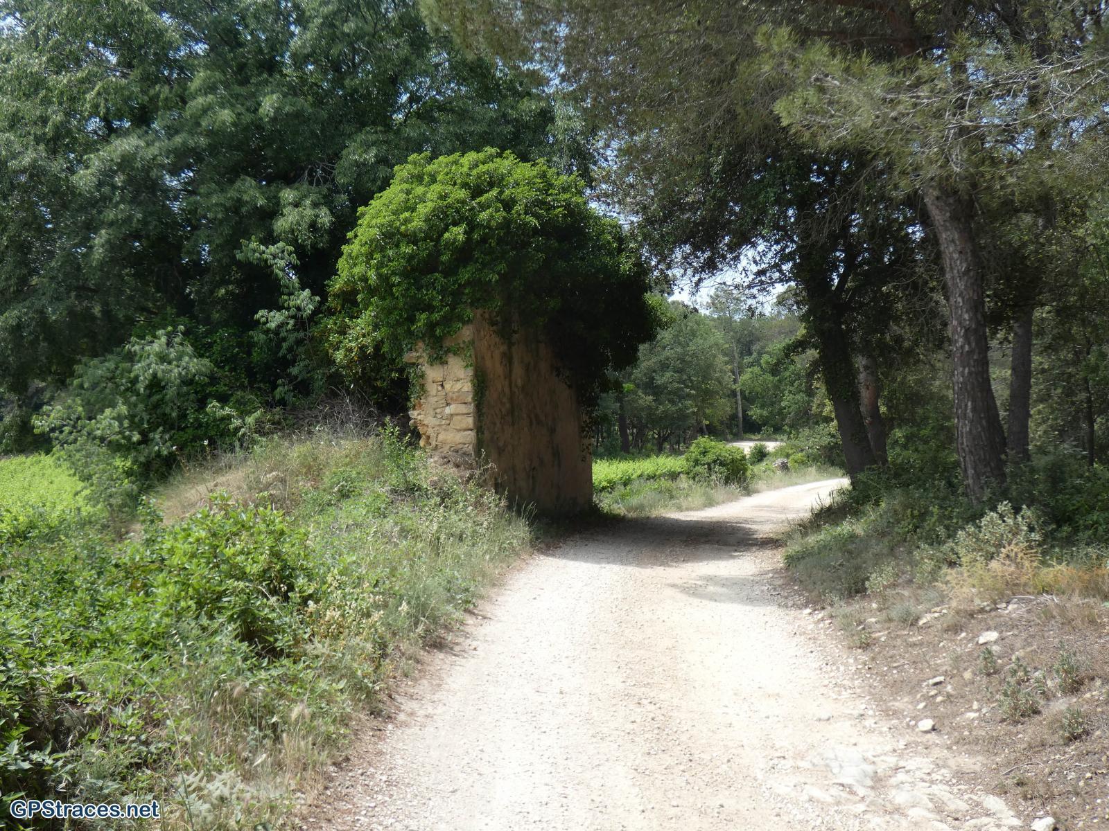Gard-Saint-Pons-La-Calm - Mégiers–8