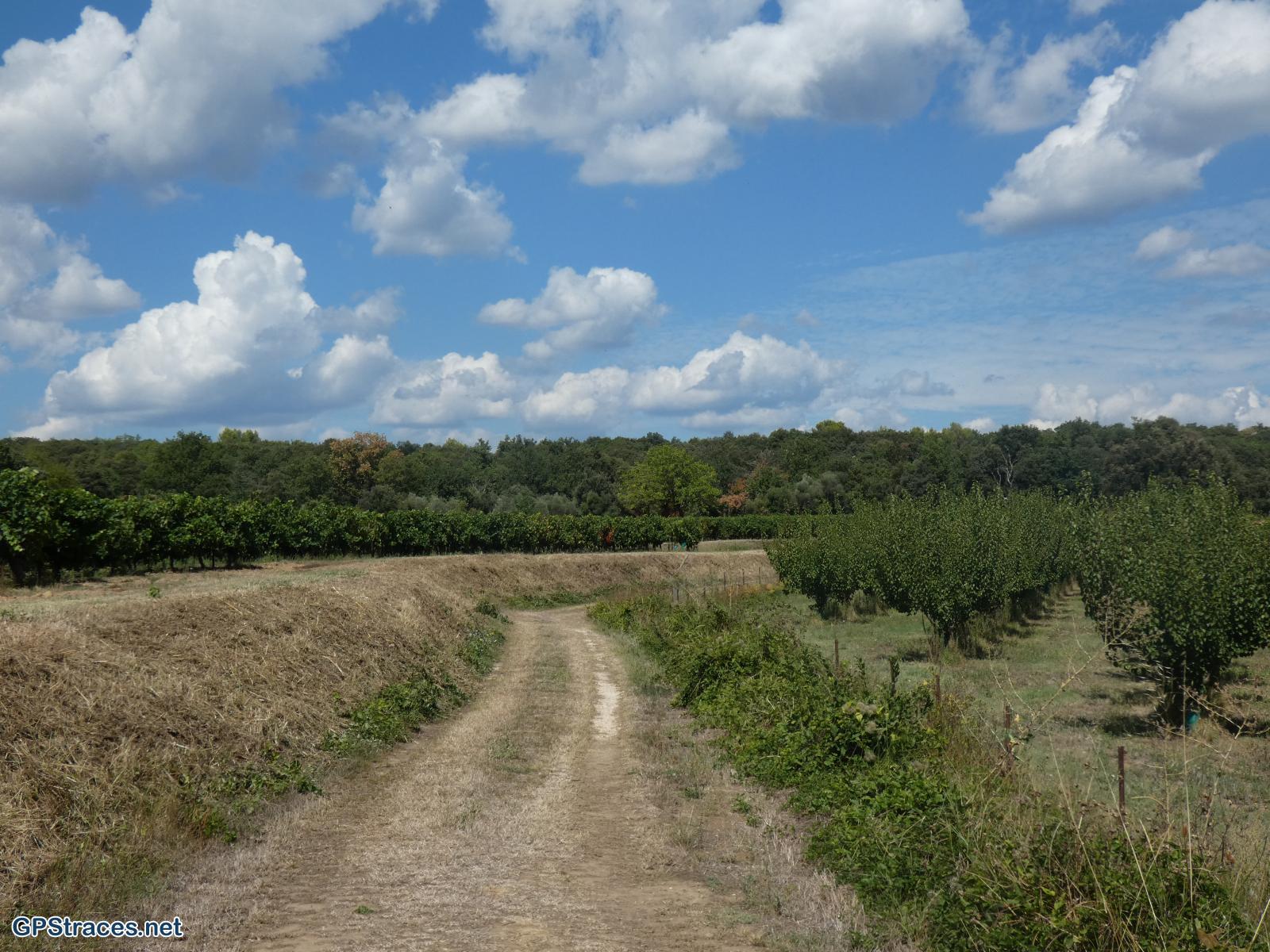 Gard-Saint-Quentin La Poterie-Carrière de meules romaine–2