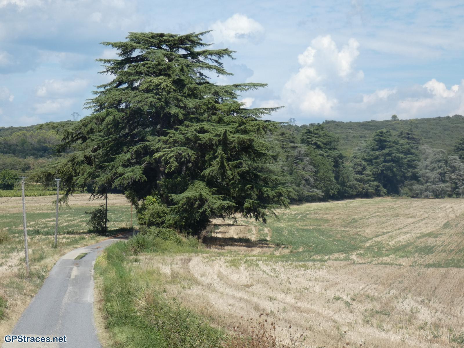 Gard-Saint-Quentin La Poterie-Carrière de meules romaine–4