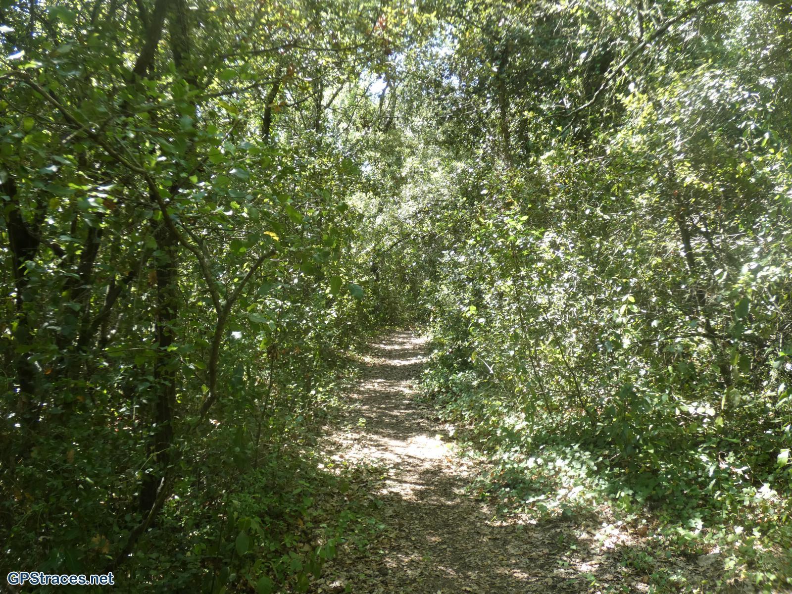Gard-Saint-Victor-Des-Oules–1