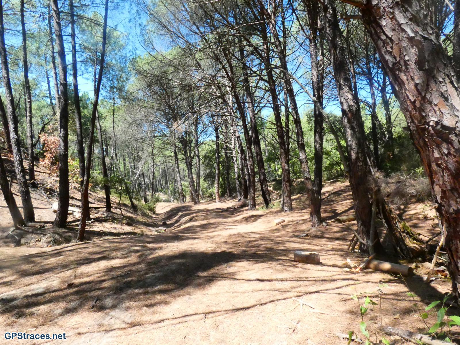 Gard-Saint-Victor-Des-Oules–2