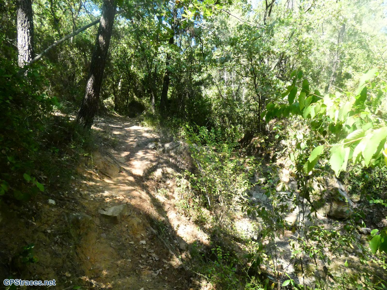 Gard-Saint-Victor-Des-Oules–3