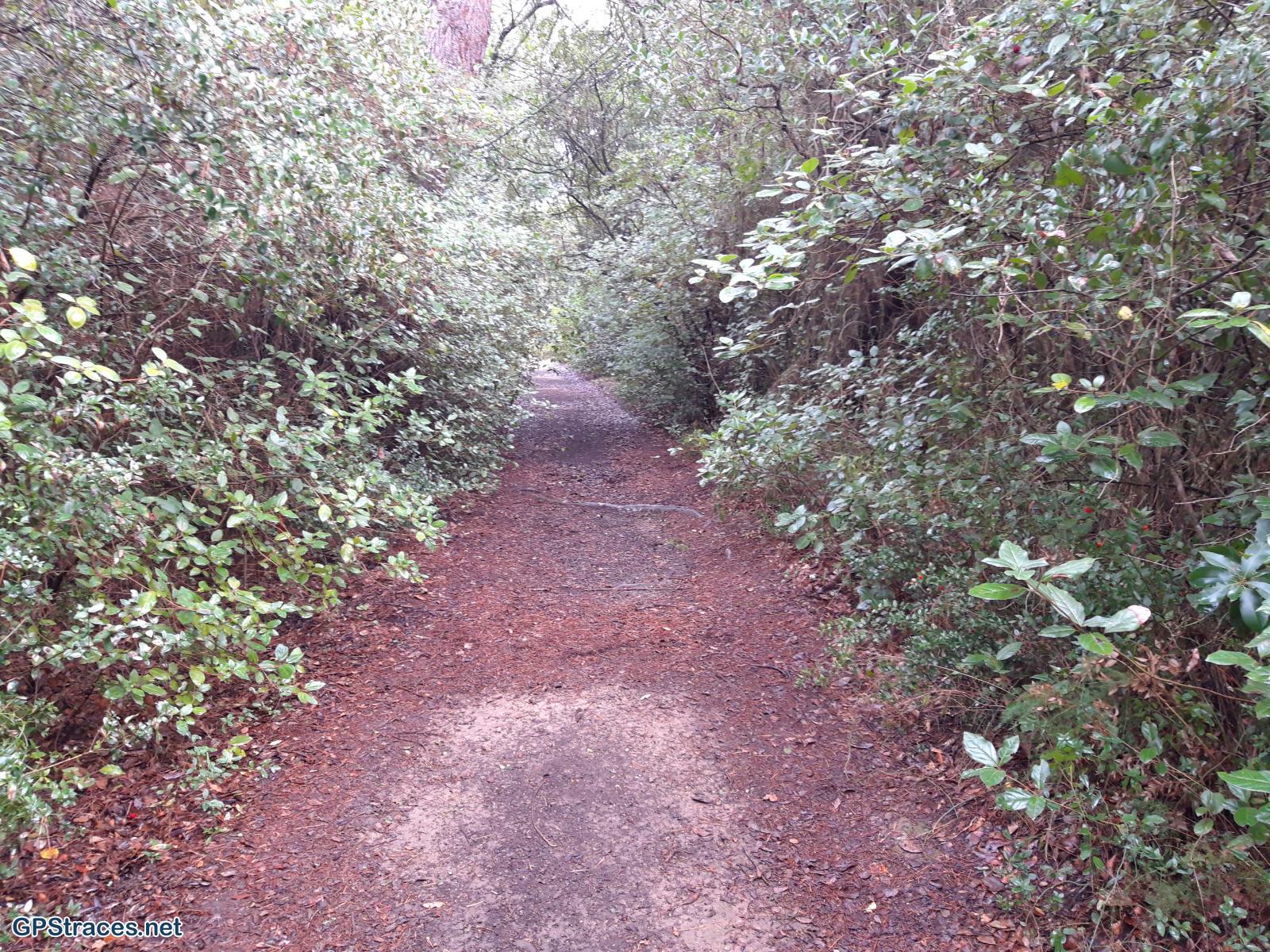 Gard-Sanilhac - La Baume Saint-Vérédème–1