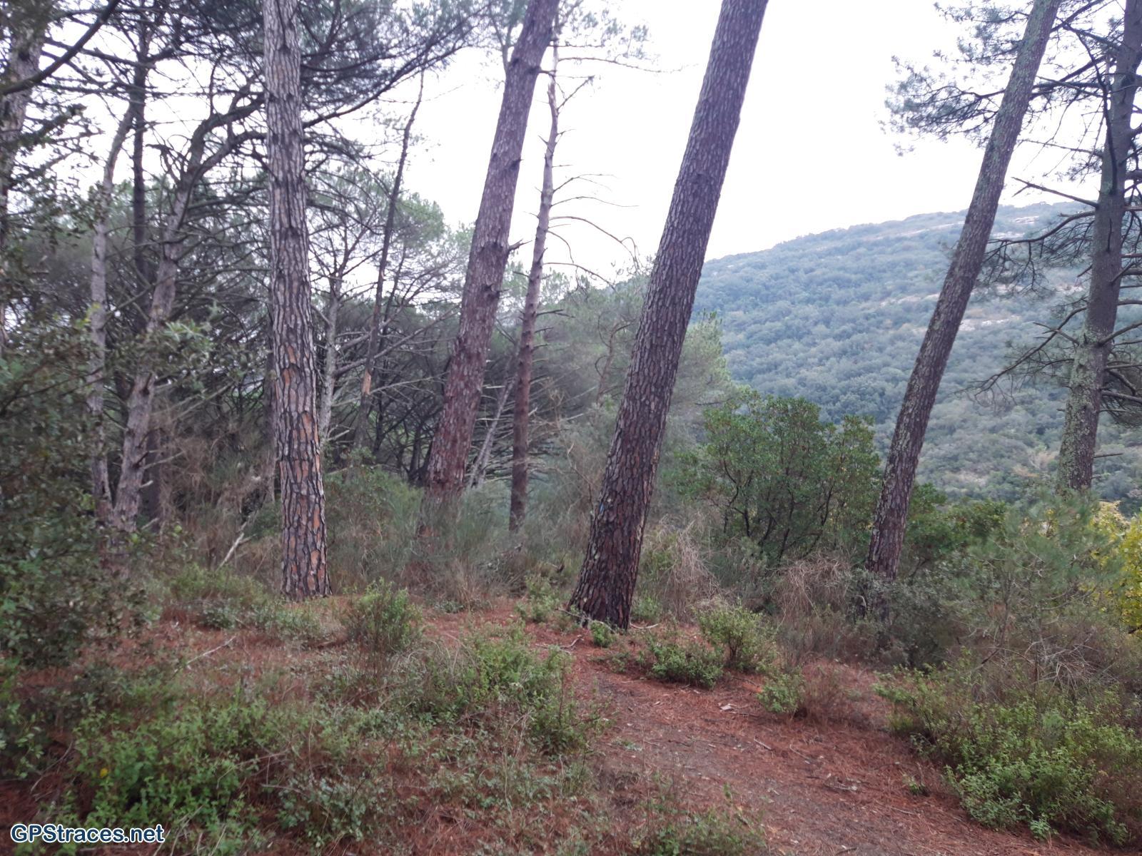 Gard-Sanilhac - La Baume Saint-Vérédème–16