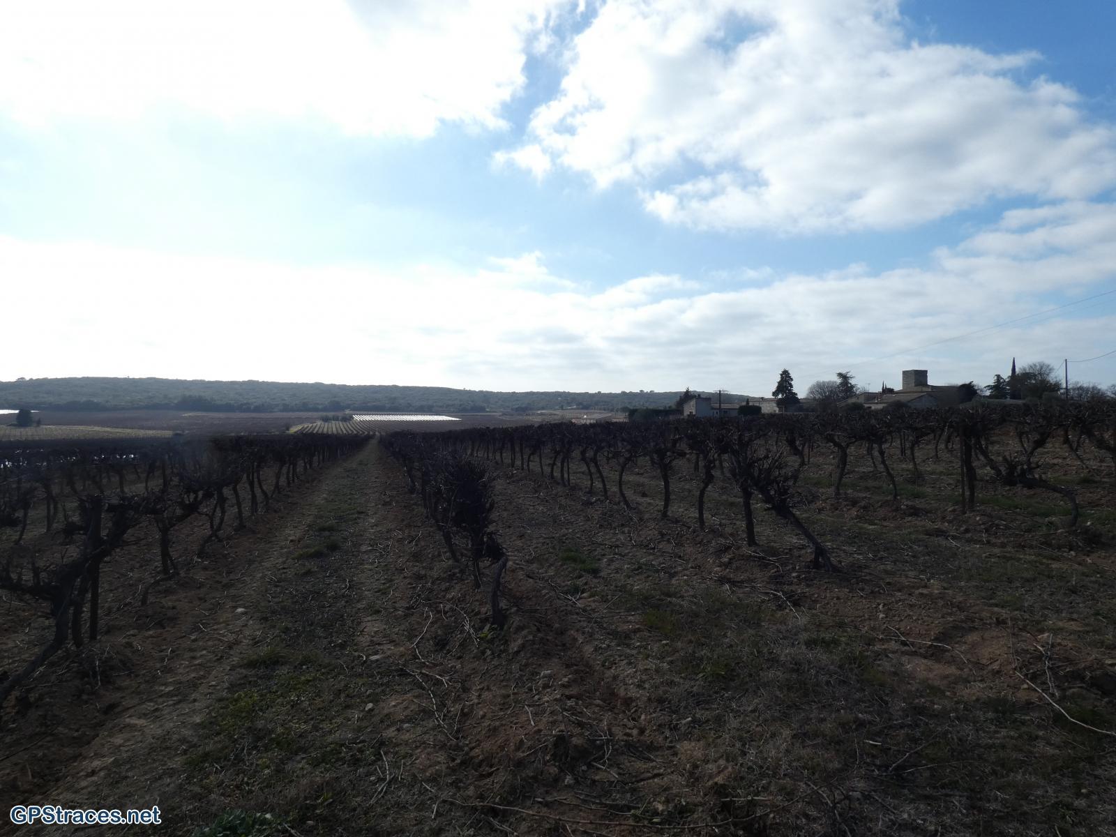 Gard-Sanilhac - Sagriès–0