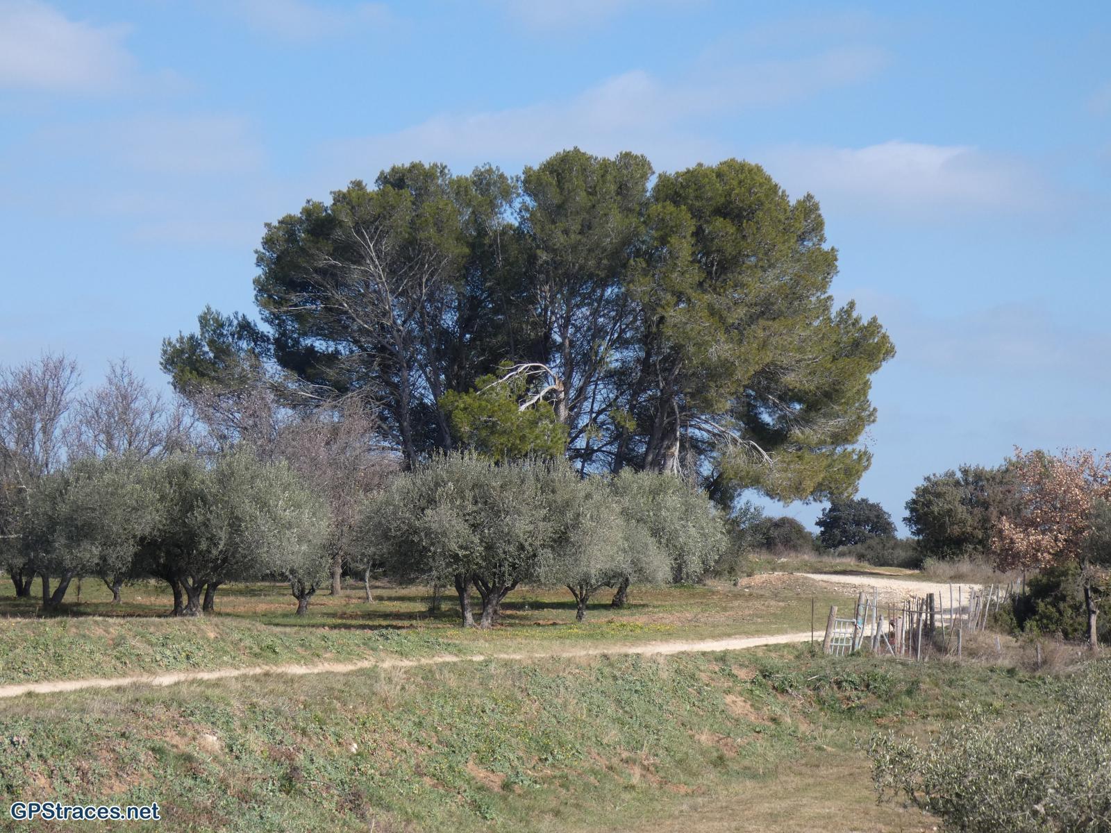 Gard-Sanilhac - Sagriès–3