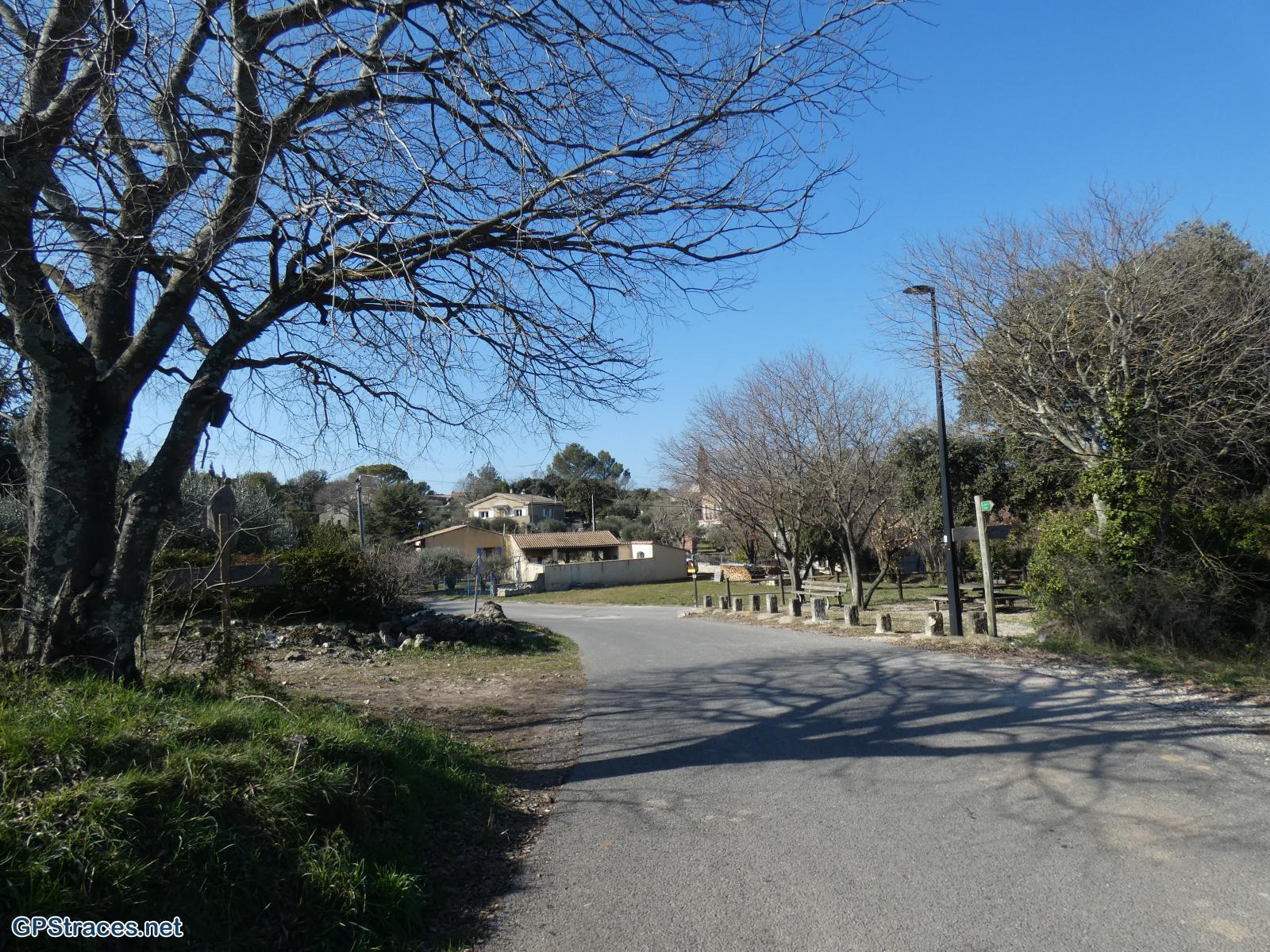 Sagriès