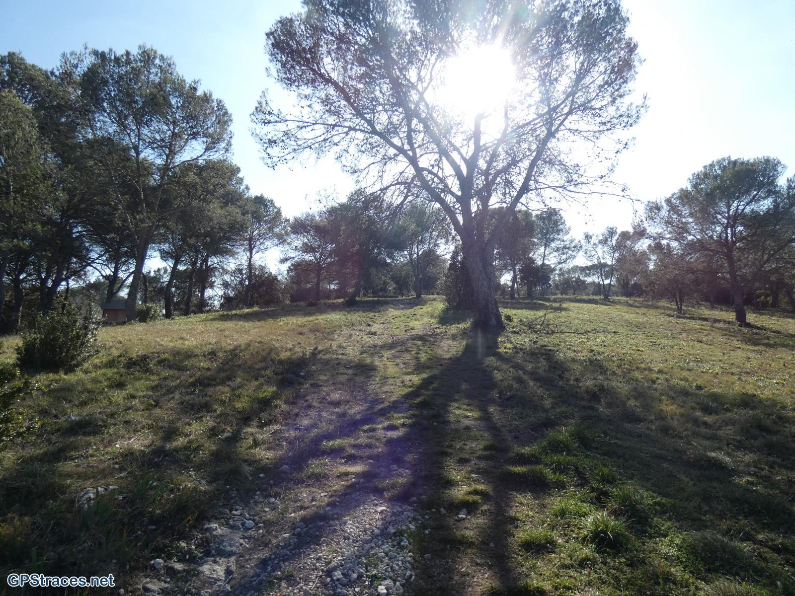 Gard-Sanilhac - Sagriès–8