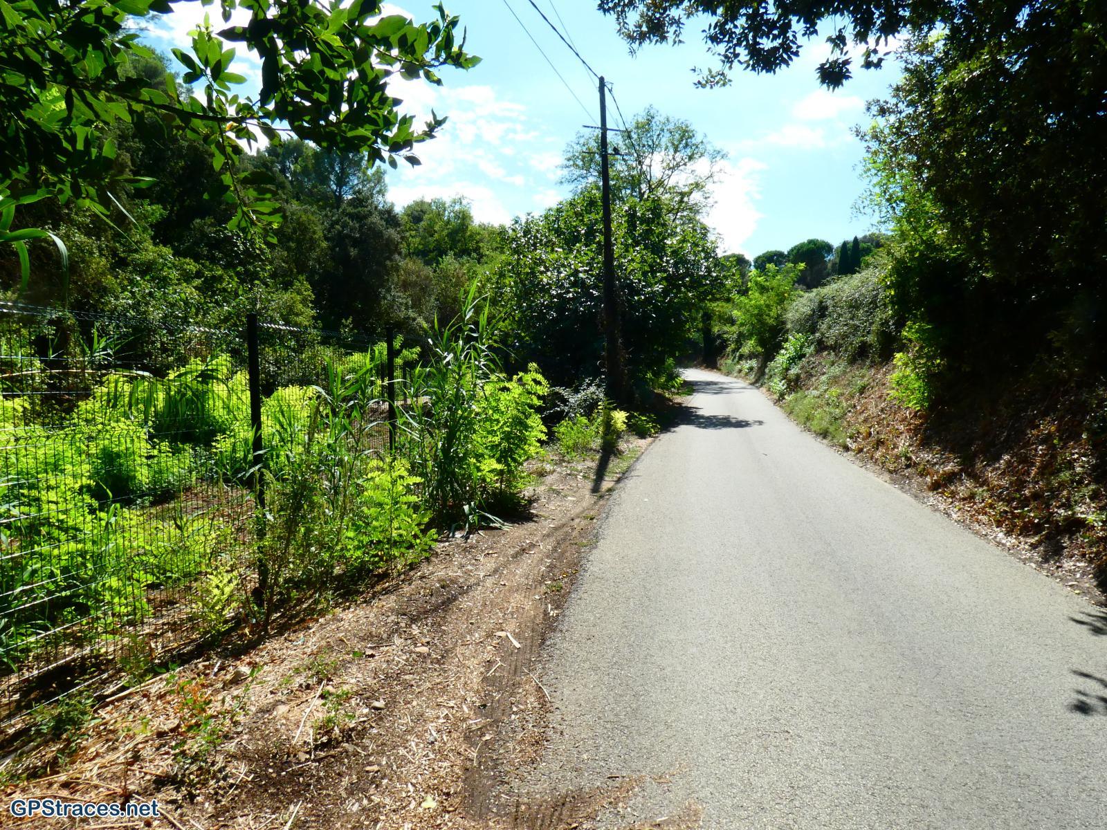 Gard-De Sauveterre à Roquemaure–1