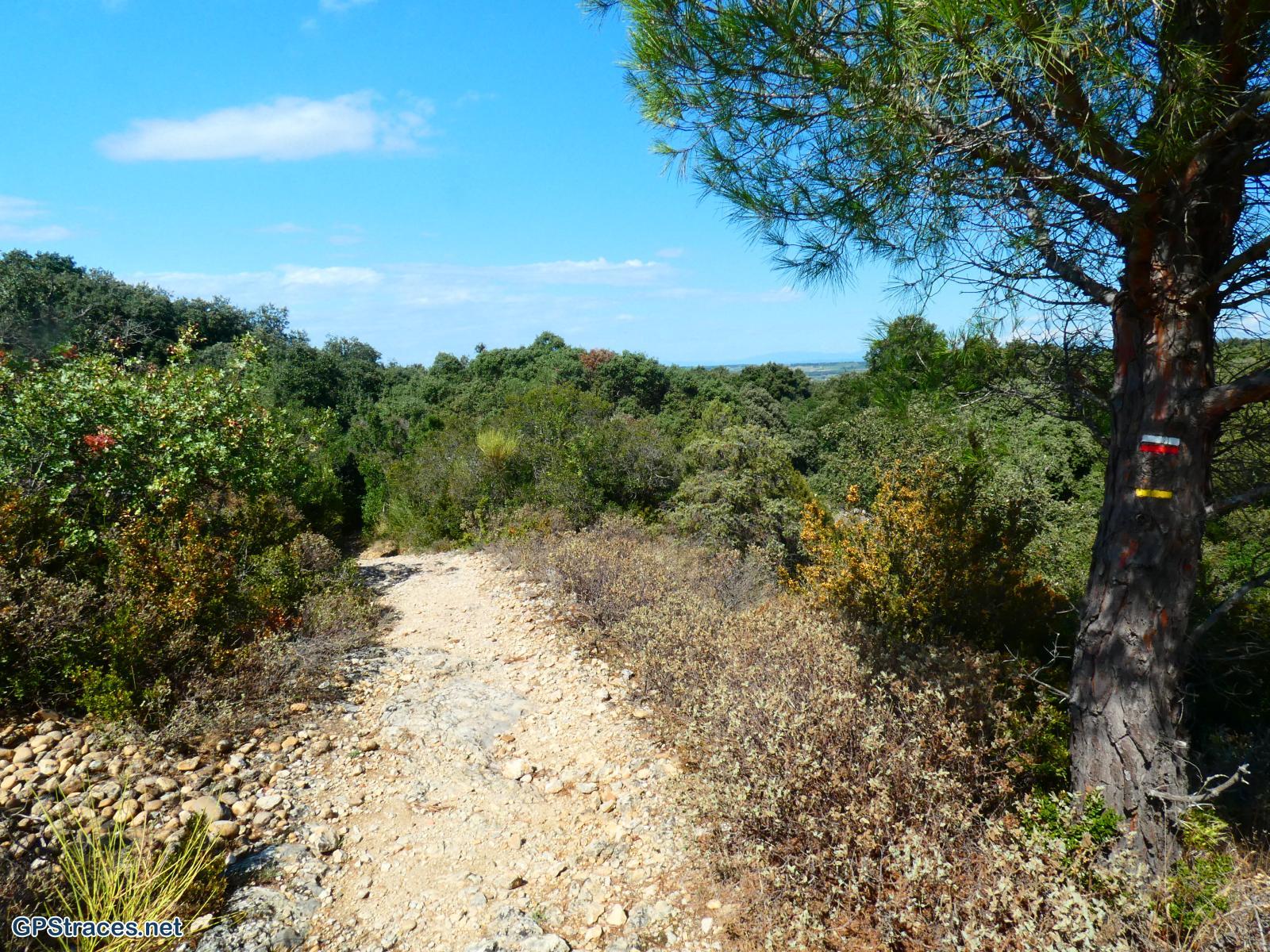 Gard-De Sauveterre à Roquemaure–5