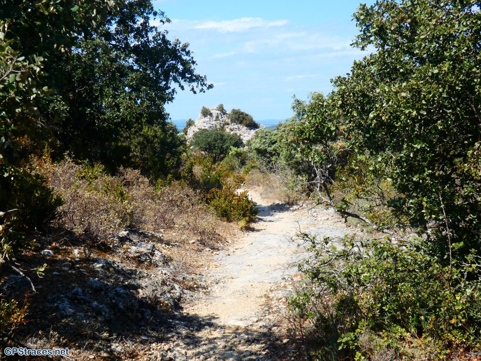 Gard-De Sauveterre à Roquemaure–6