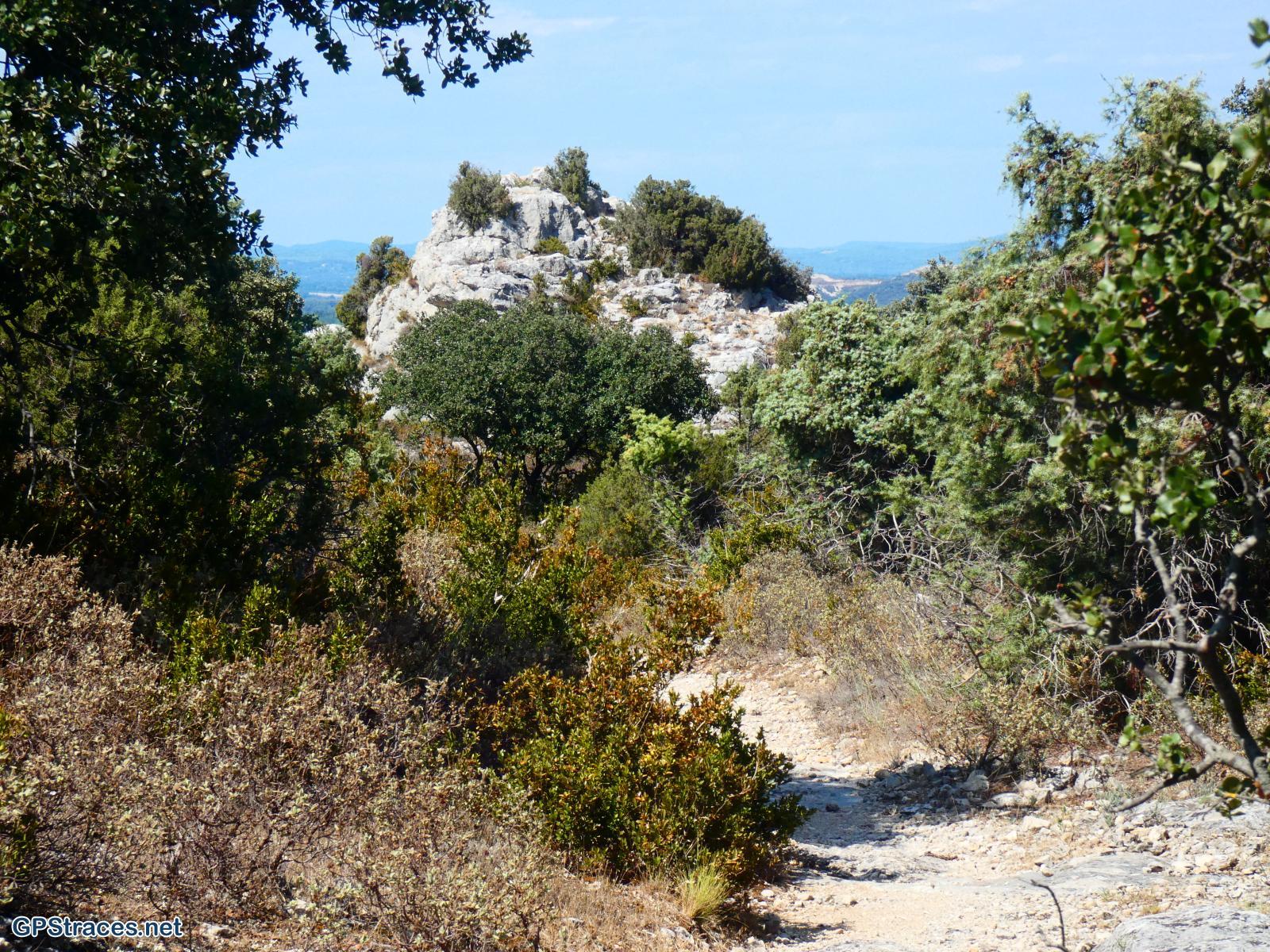 Gard-De Sauveterre à Roquemaure–7