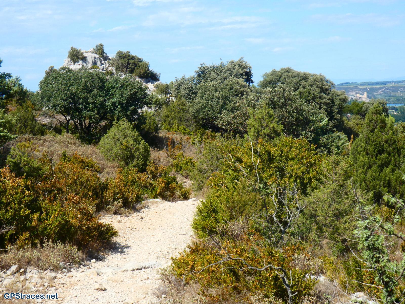 Gard-De Sauveterre à Roquemaure–9