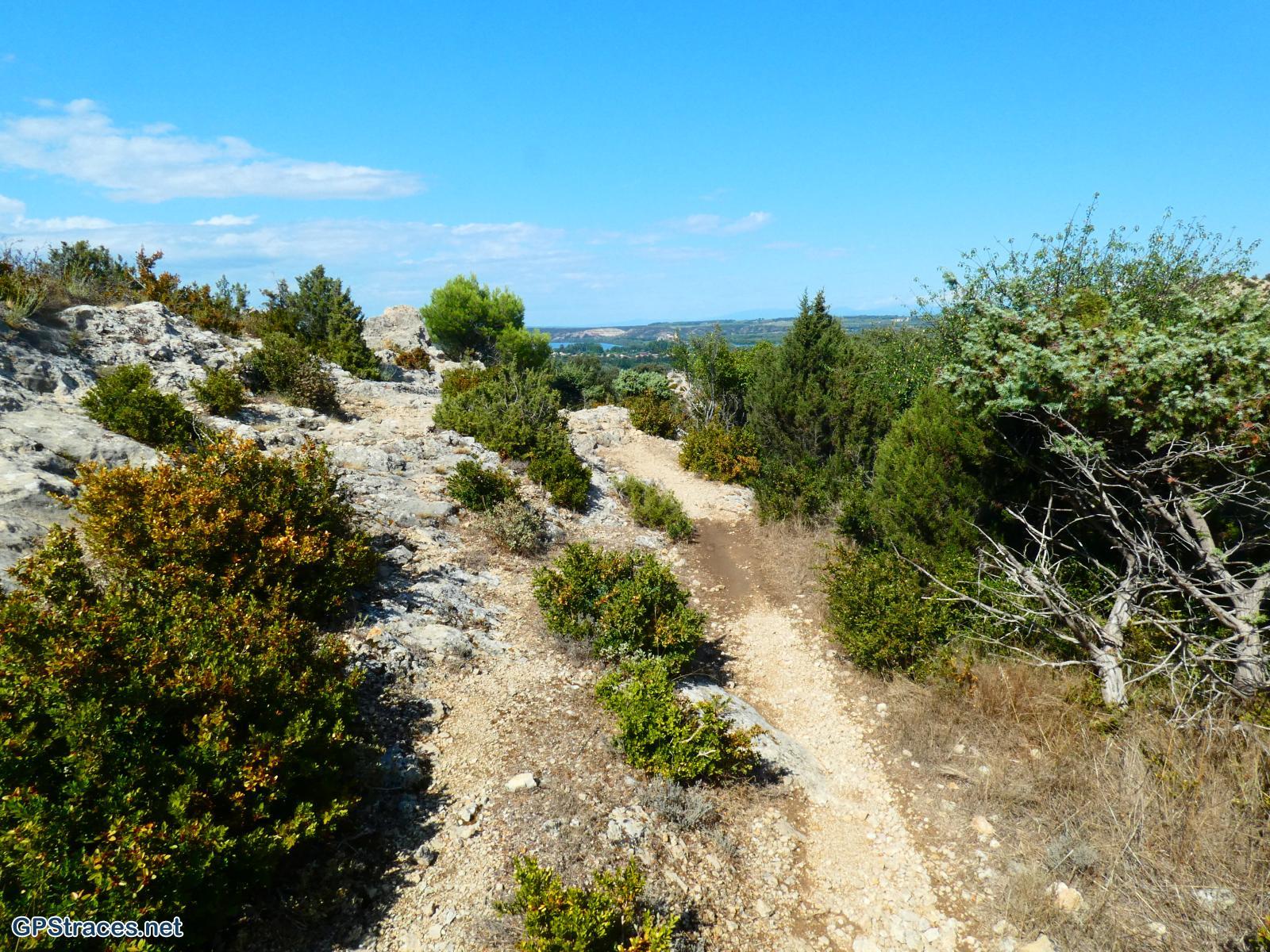 Gard-De Sauveterre à Roquemaure–10