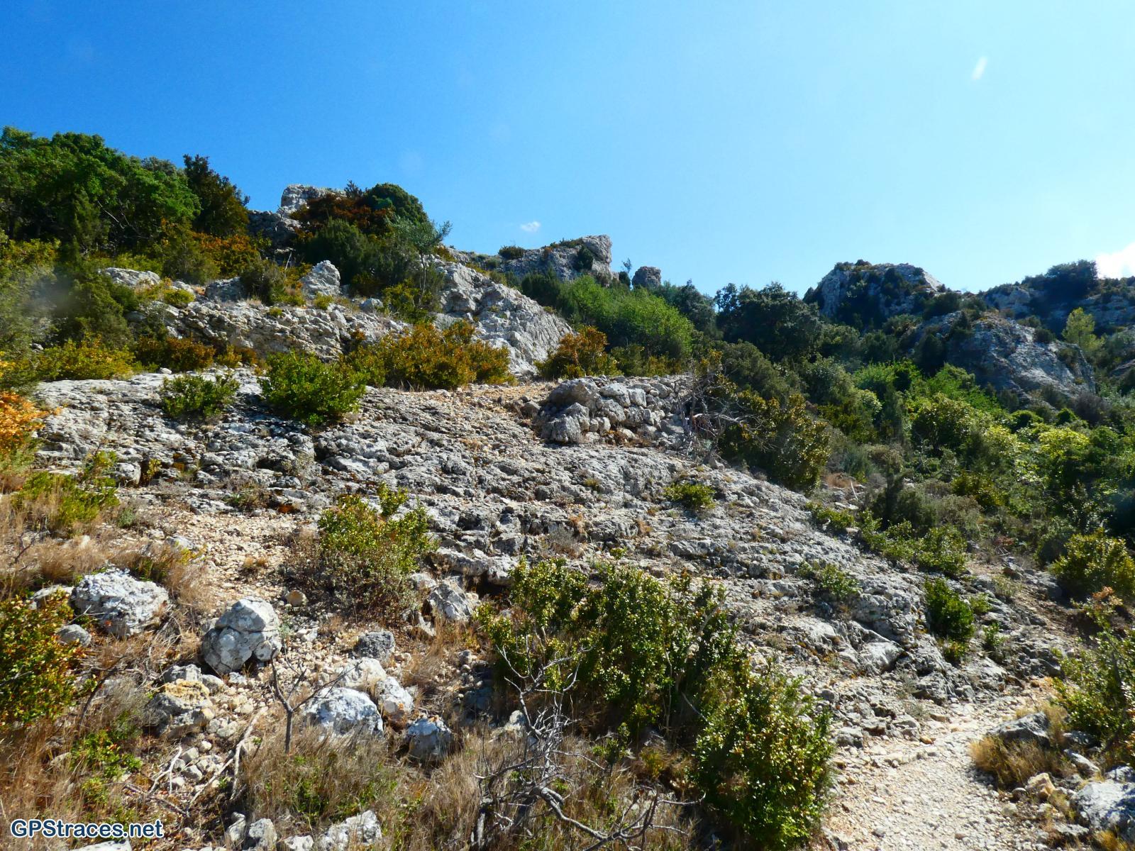 Gard-De Sauveterre à Roquemaure–14
