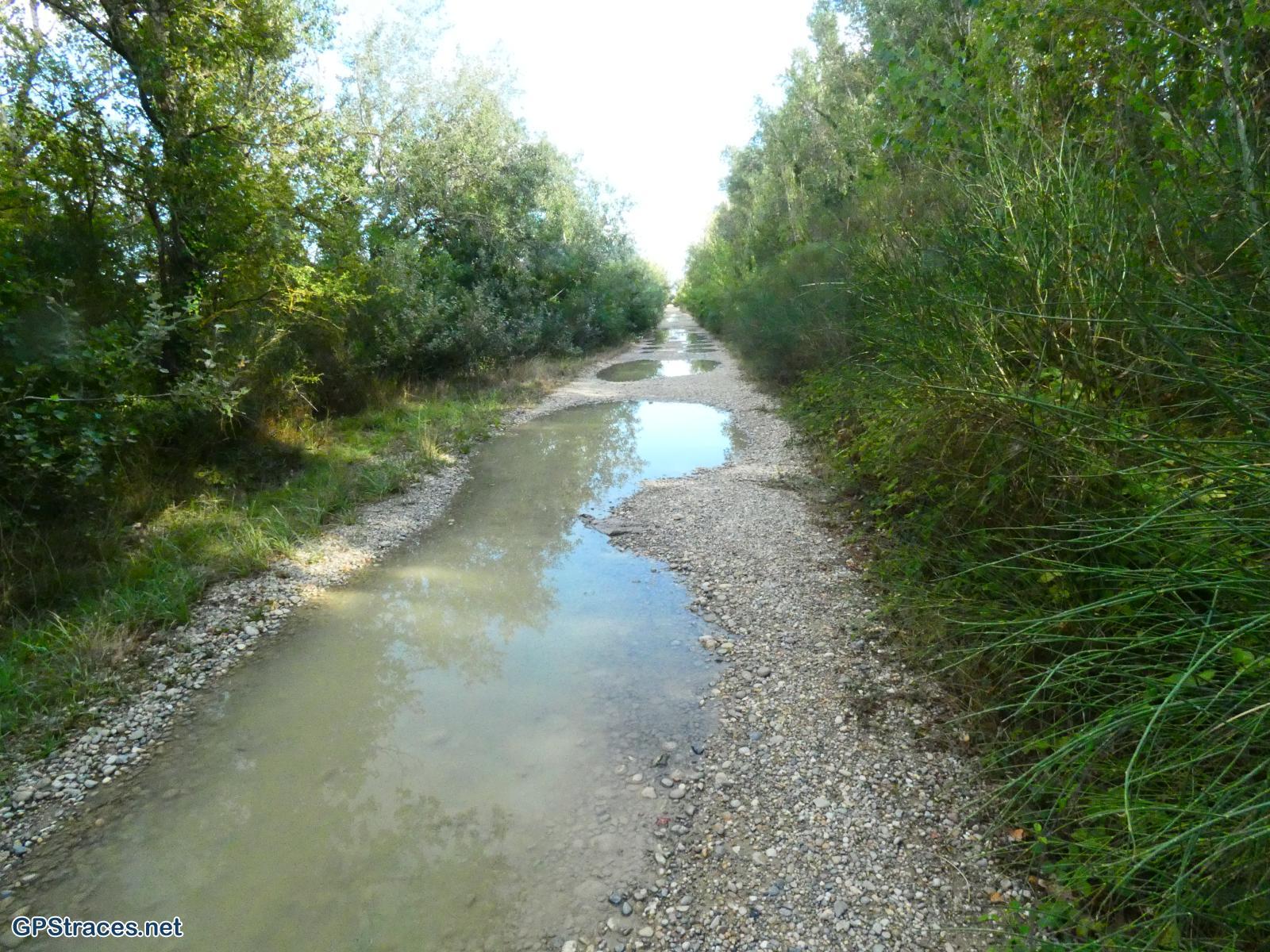 Le long du contre-canal du Rhône