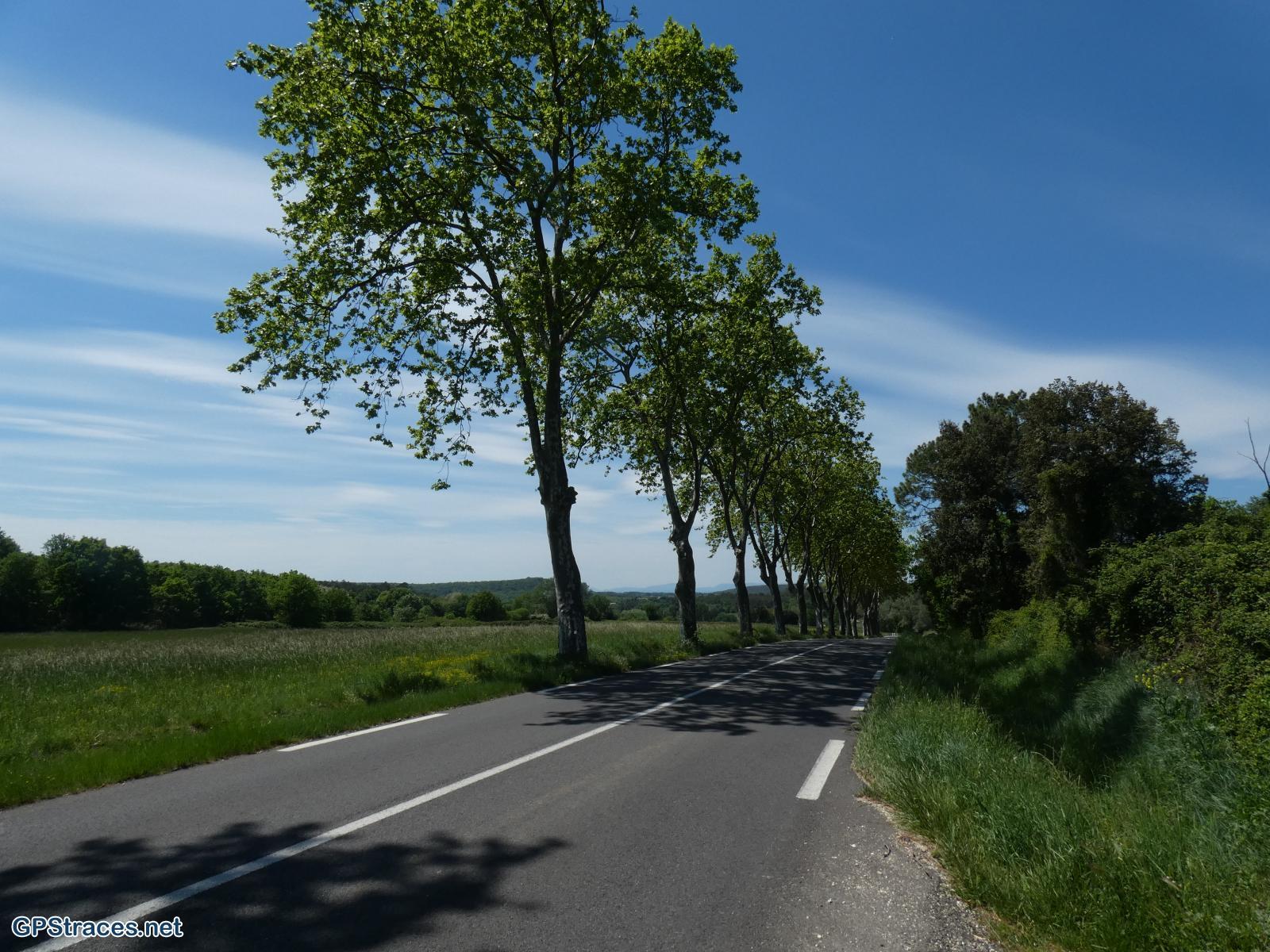 traversée de la D981