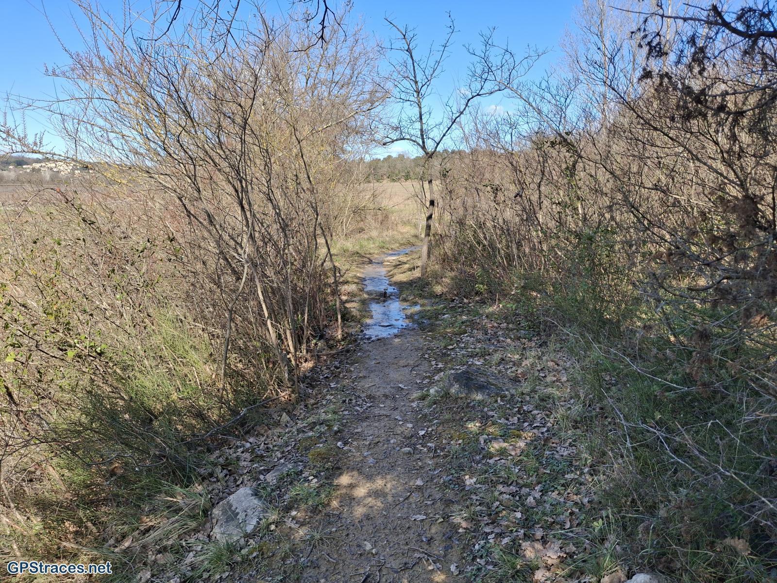 Un sentier souvent boueux