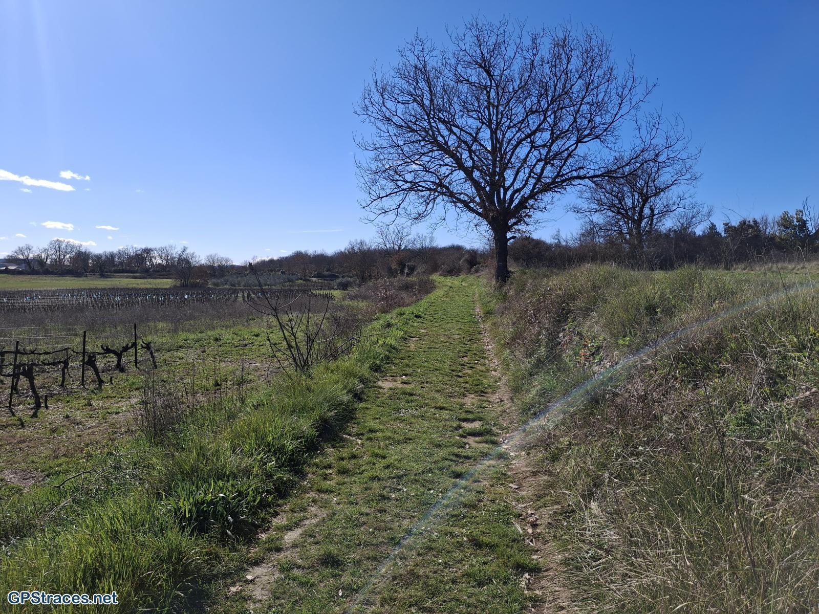 Gard-De St-Cézaire de Gauzignan à Ners–11