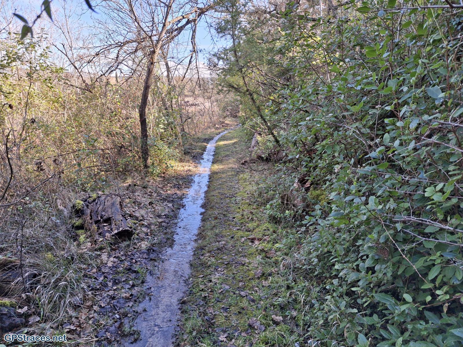 Gard-De St-Jean de Ceyragues à St-Cézaire de Gauzignan–2