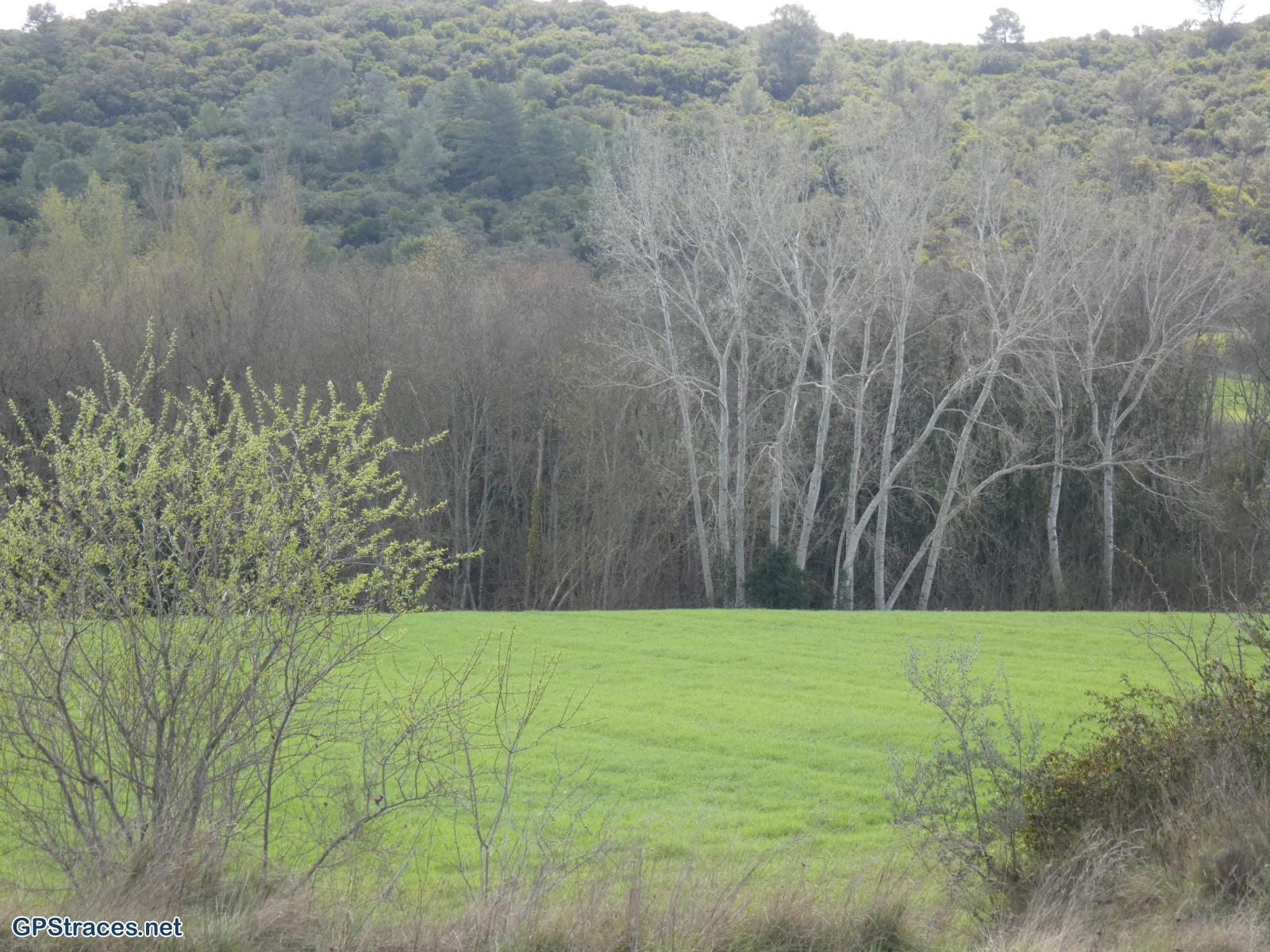 Gard-De St-Just-et-Vacquières à Celas–3