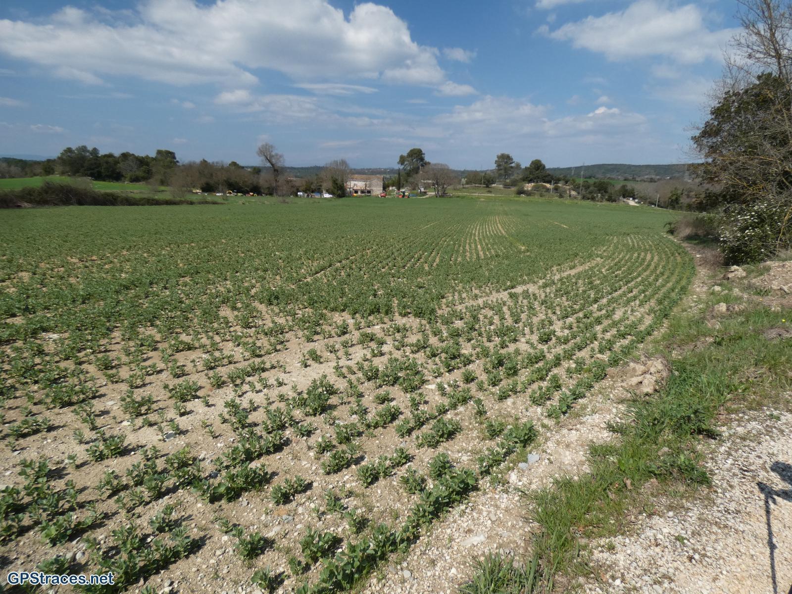 Gard-De St-Just-et-Vacquières à Celas–5