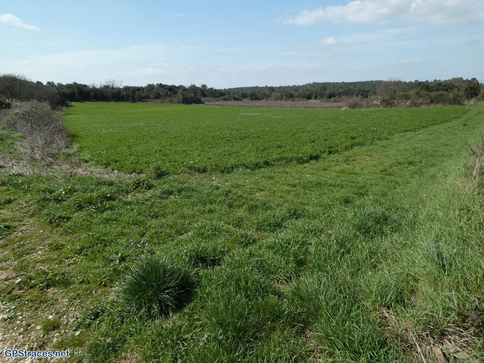 Gard-De St-Just-et-Vacquières à Celas–7