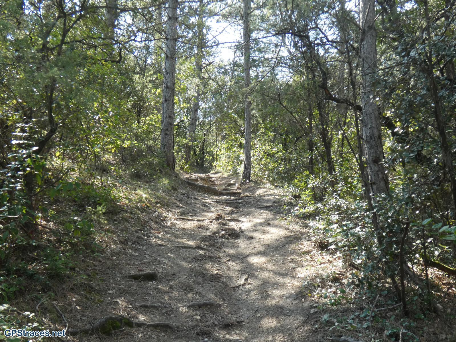 Gard-De St-Just-et-Vacquières à Celas–10