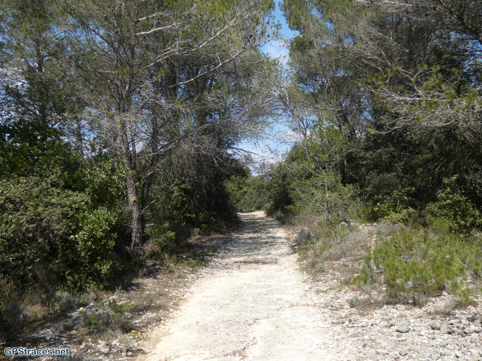 Gard-De St-Just-et-Vacquières à Celas–11